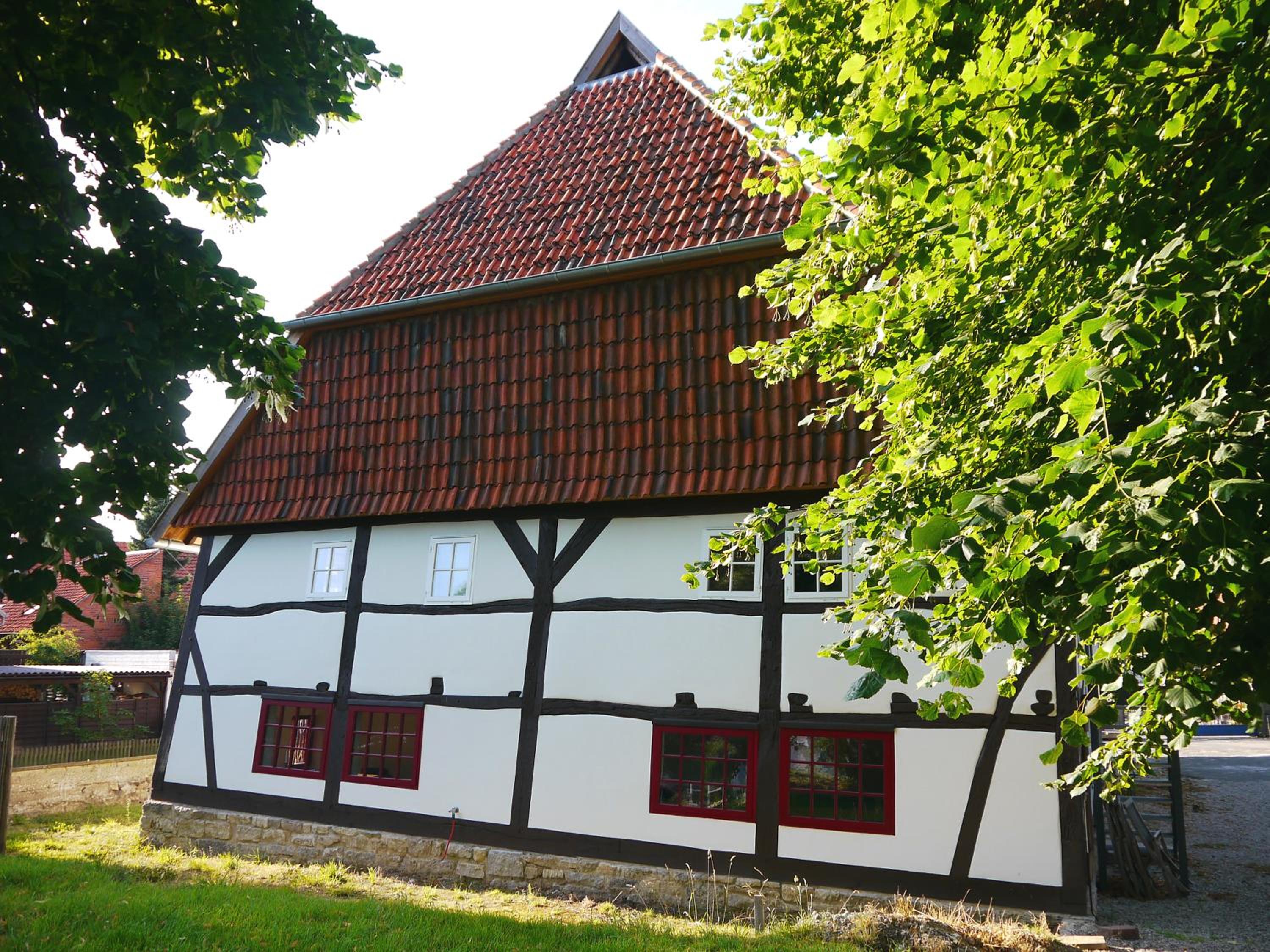 Photo 8