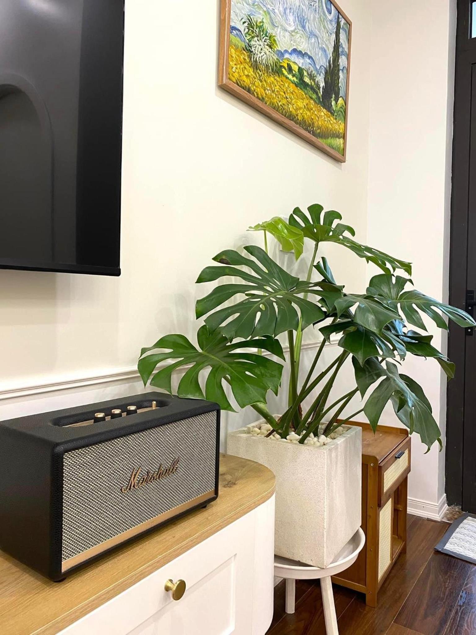 Dino Home Luxury view 4