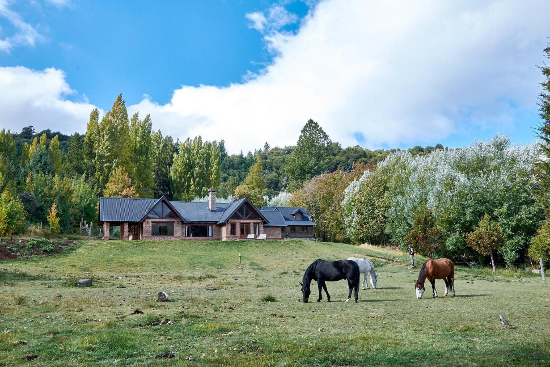 Casa Campo Bariloche