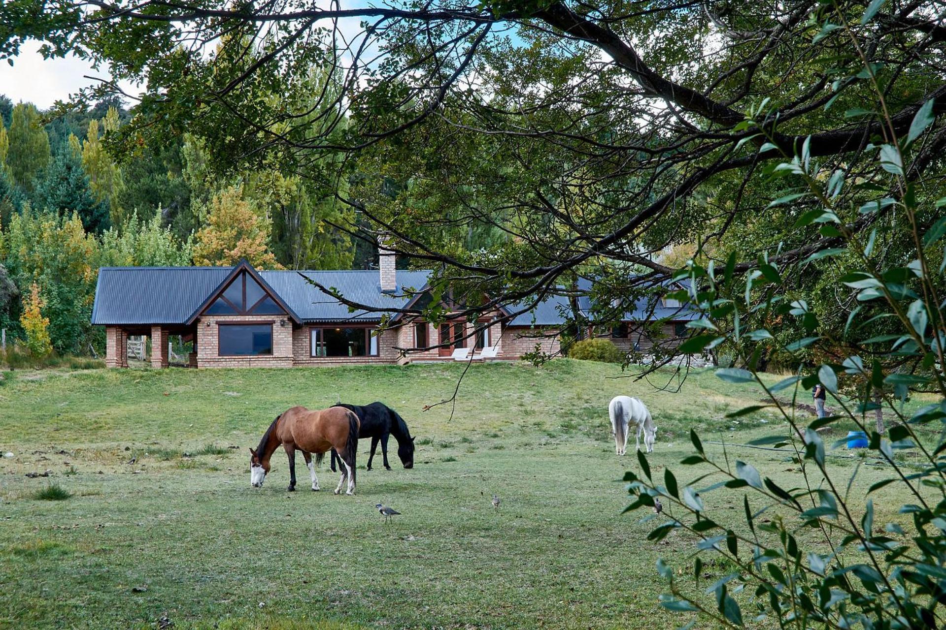 Casa Campo Bariloche