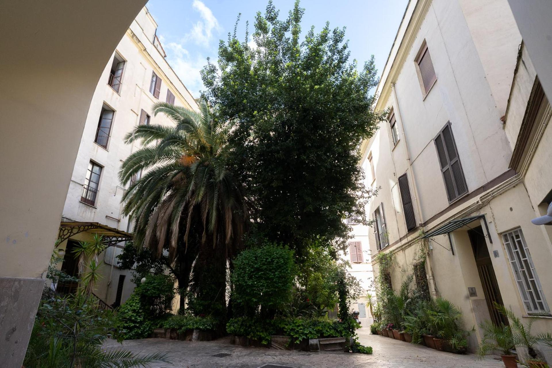 Domus Alba Mantua