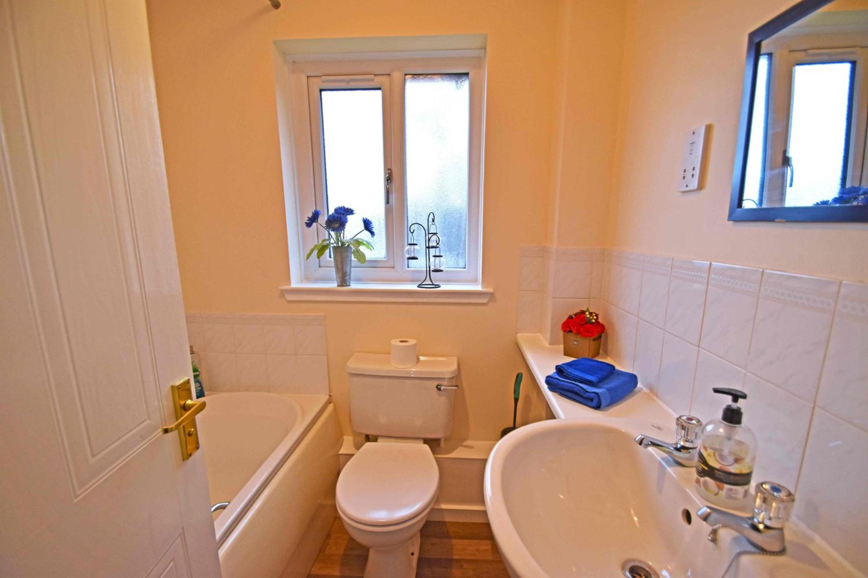 Birch View