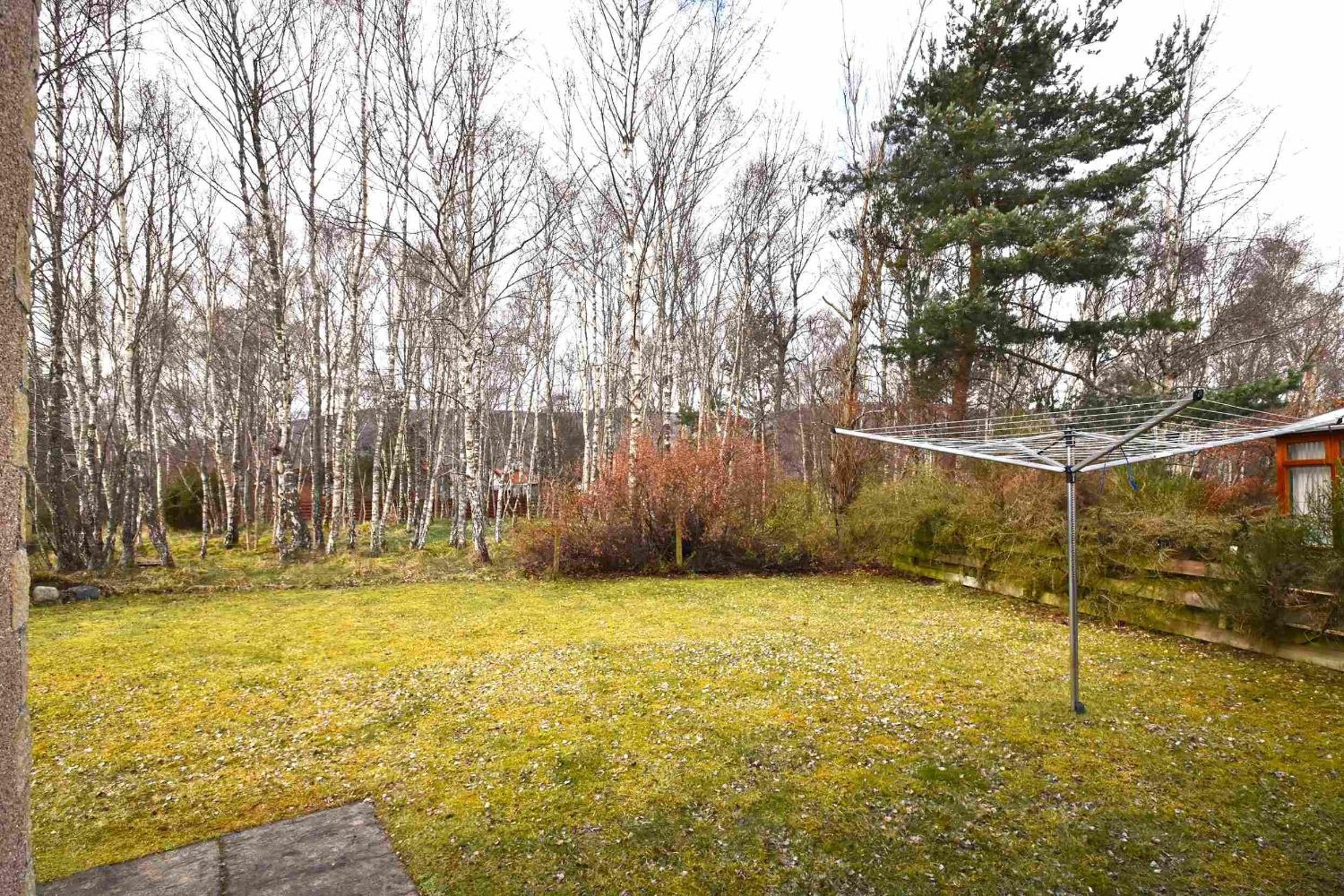 Birch View