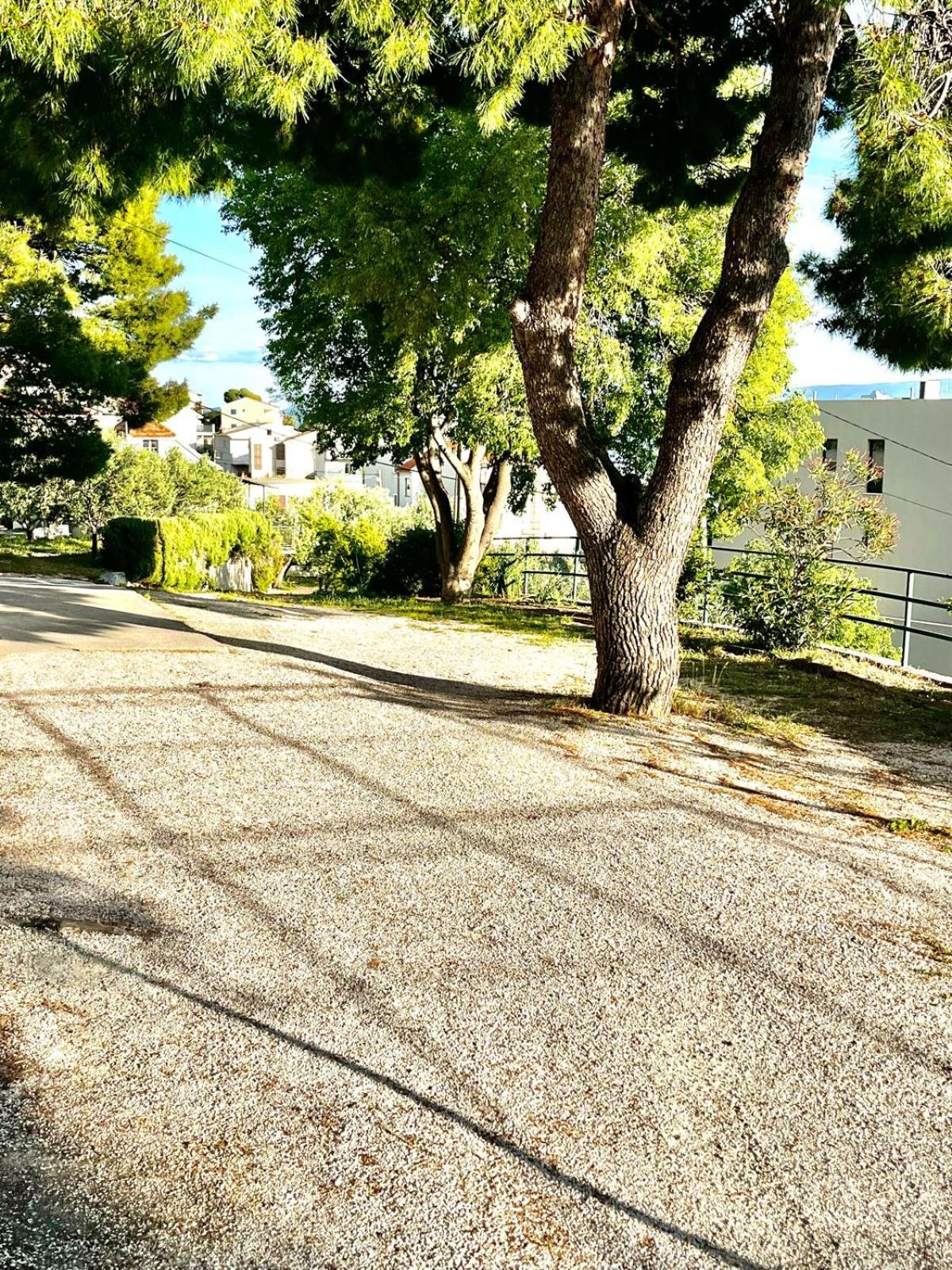 Photo 49