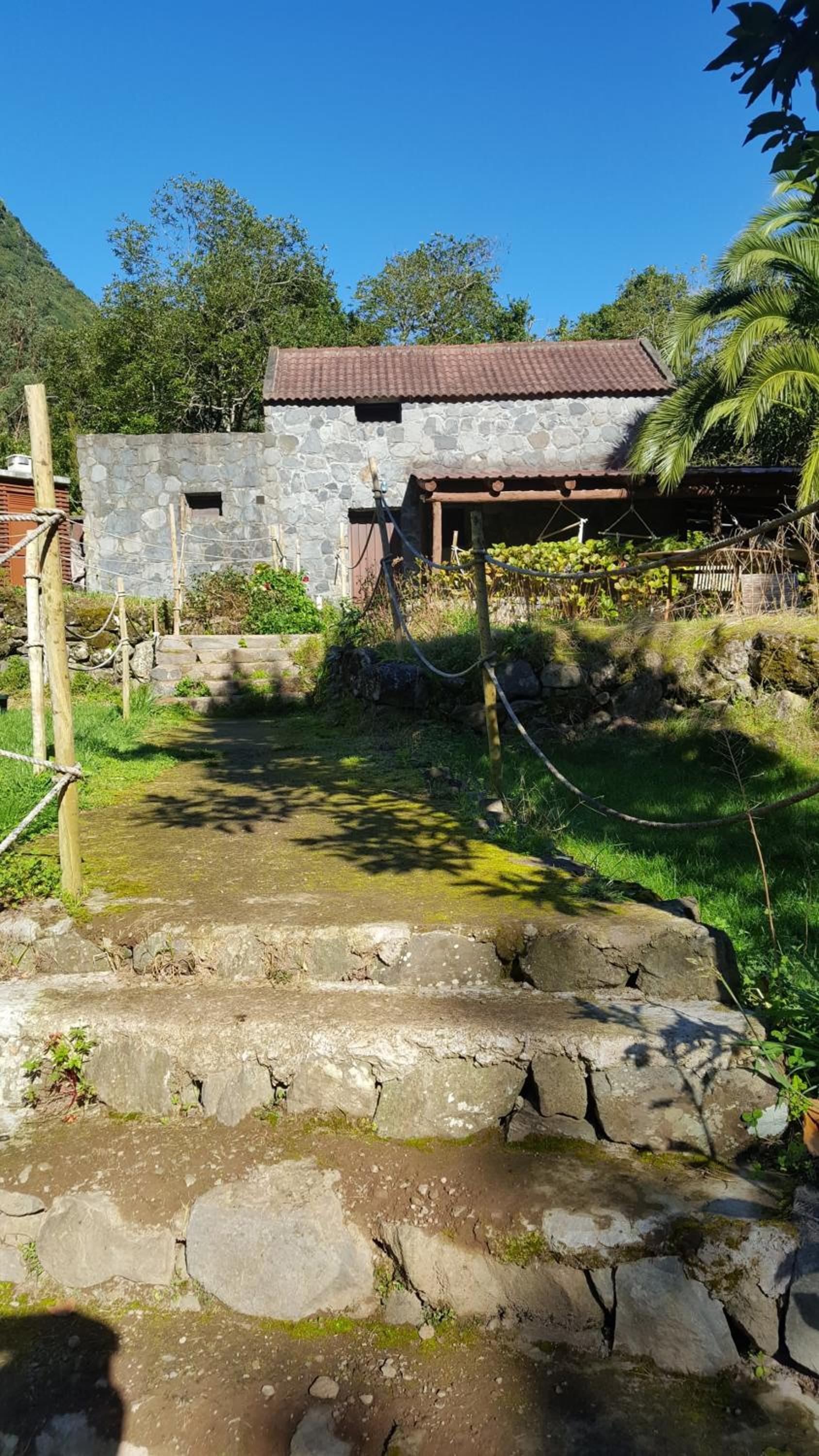Nature Retreat - Laurel Forest