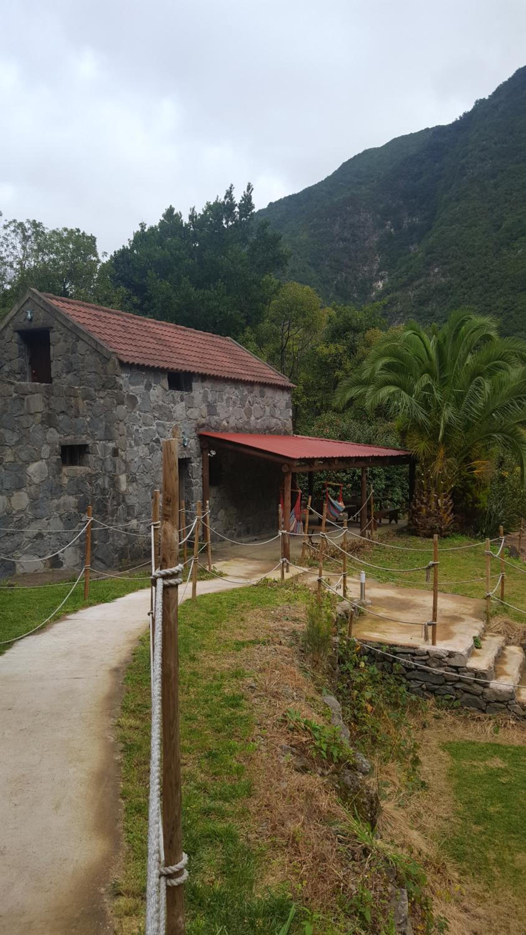 Nature Retreat - Laurel Forest