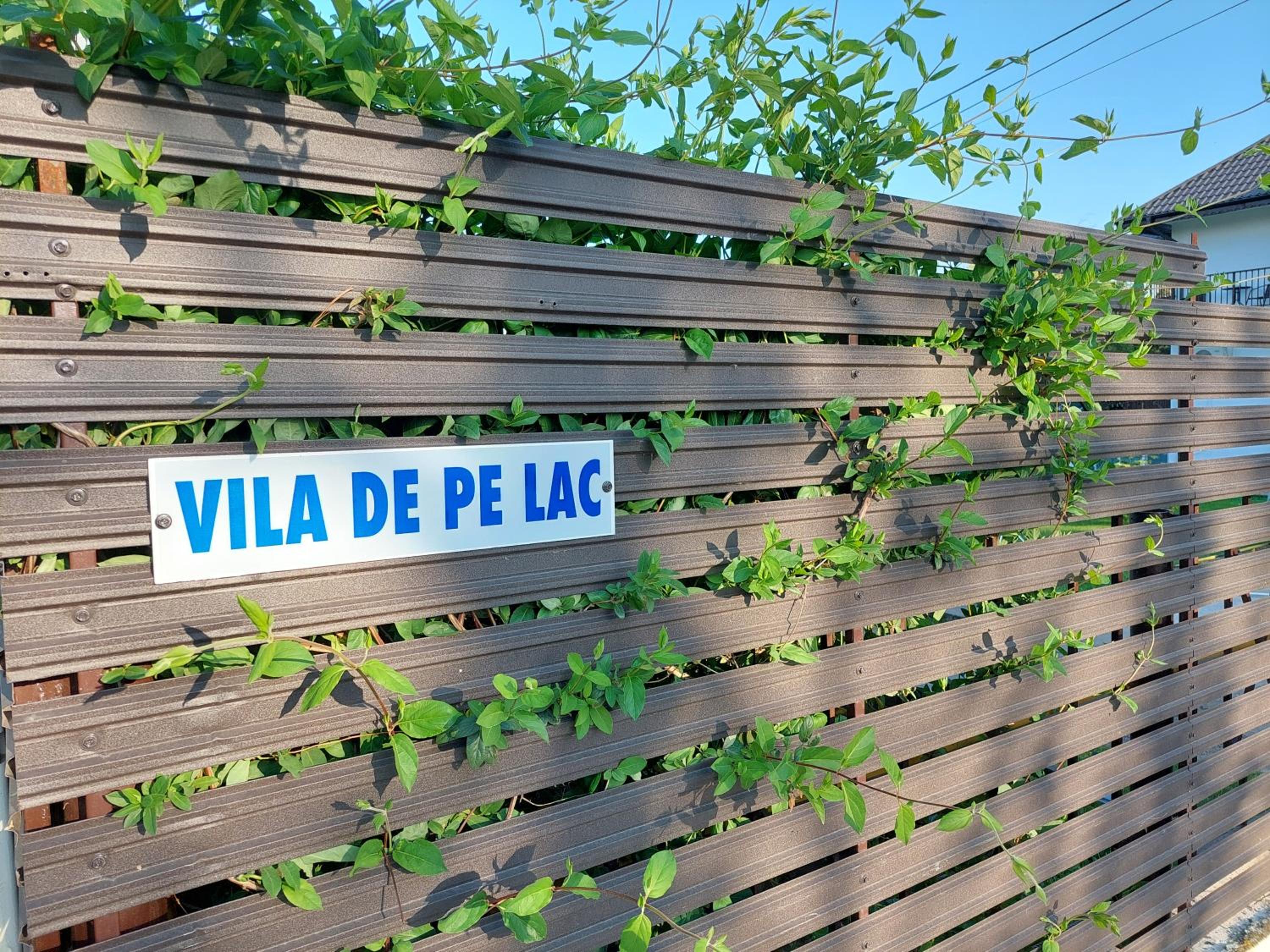 Vila de pe Lac Amara view 5