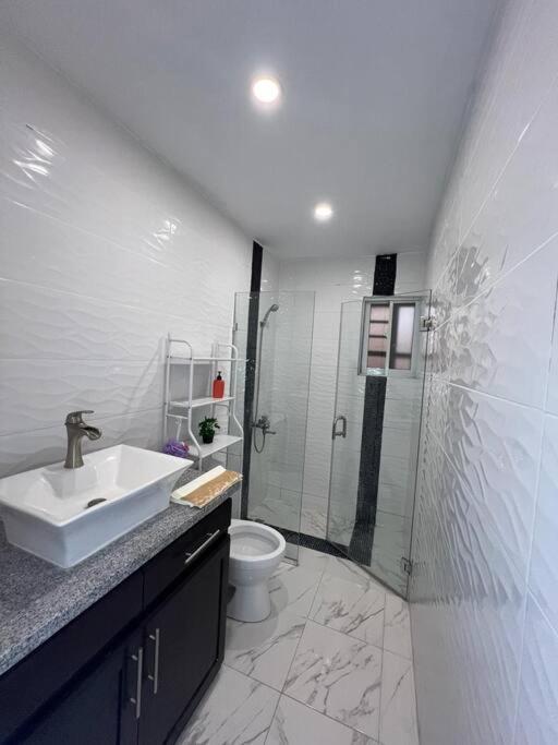 Luxurious and comfortable Central apartment