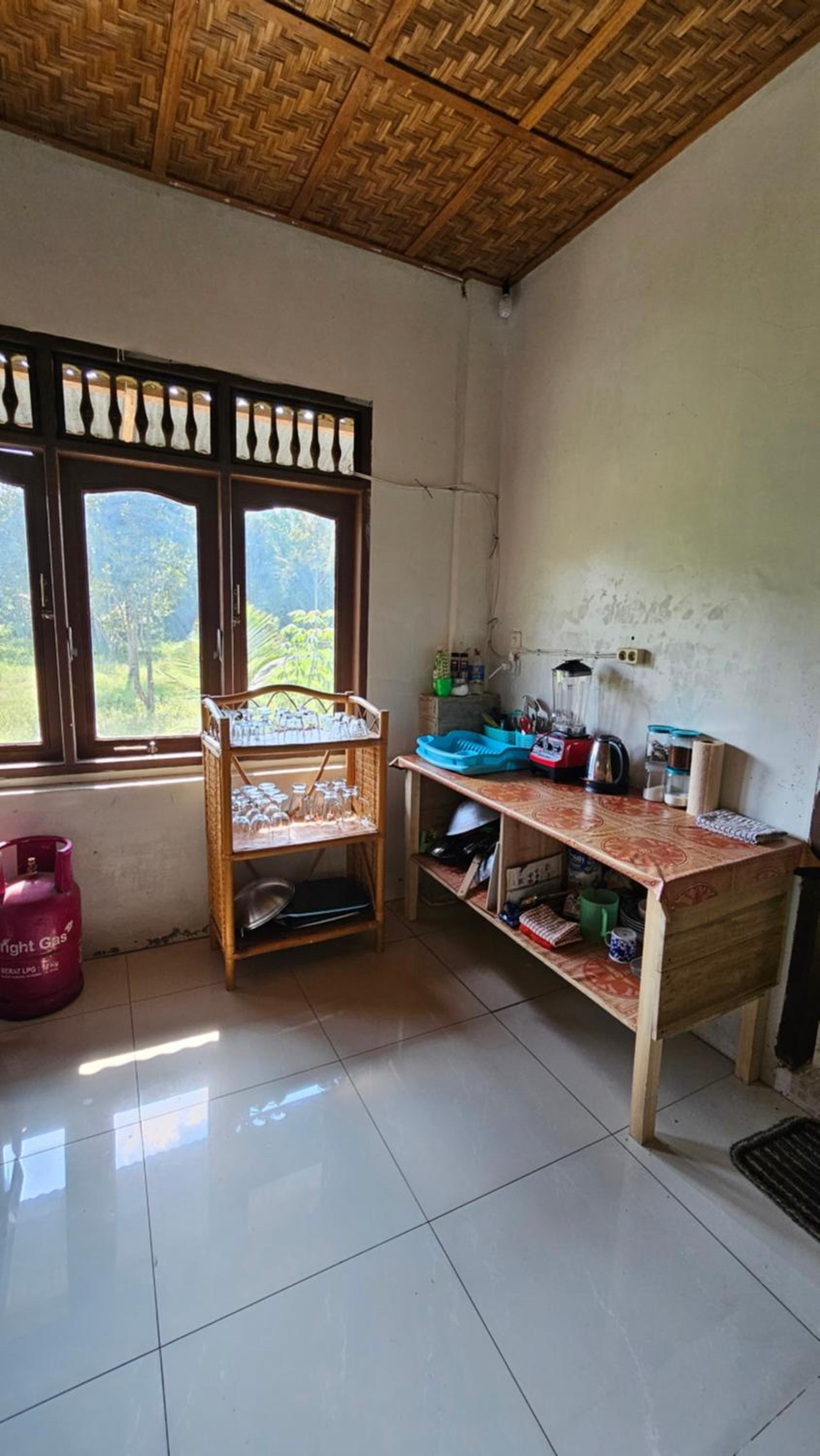 White house Sumatra Bukit Lawang view 5