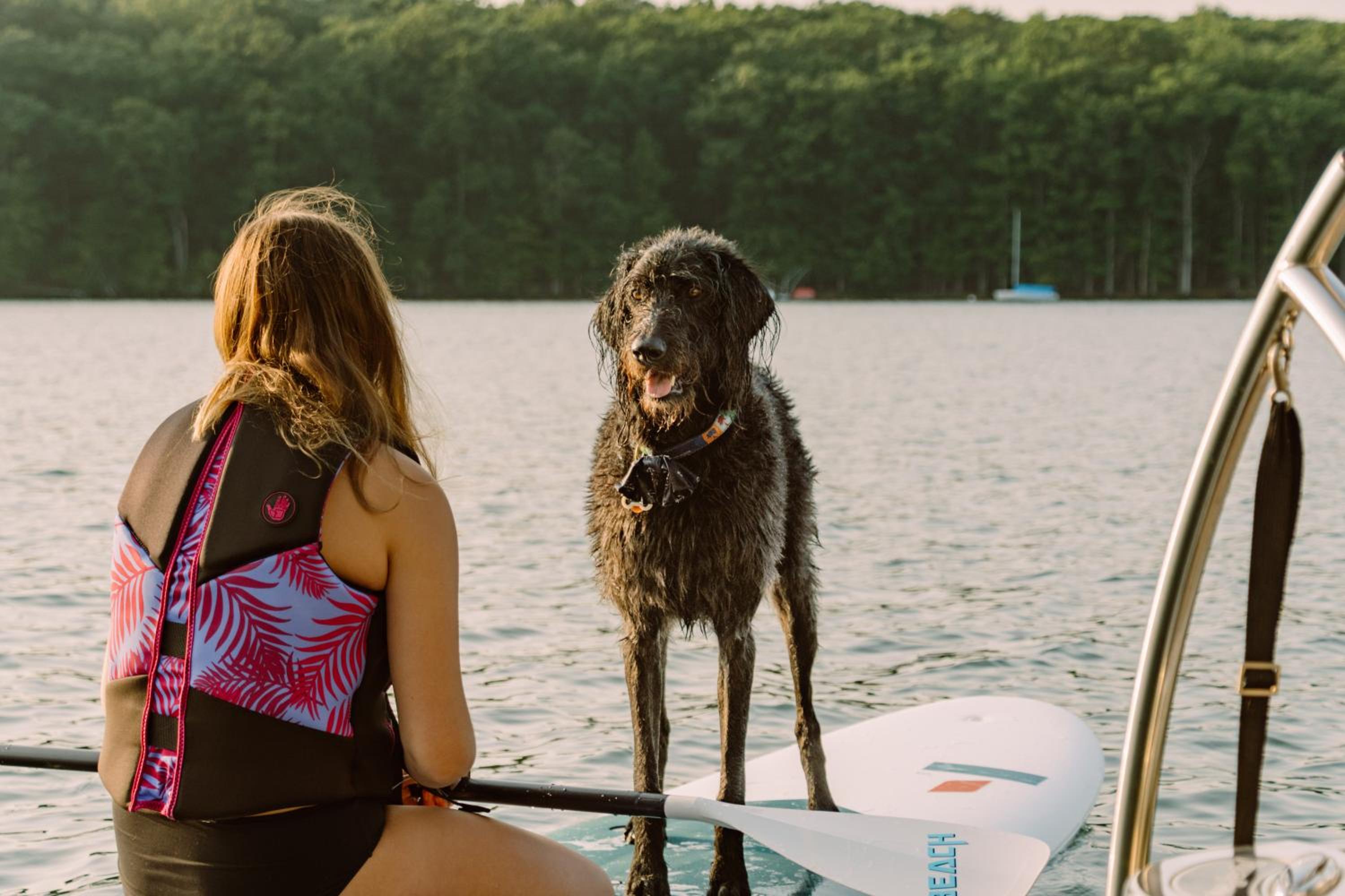 Magnolia - Lakefront, dog friendly, dock slip, hot tub view 4