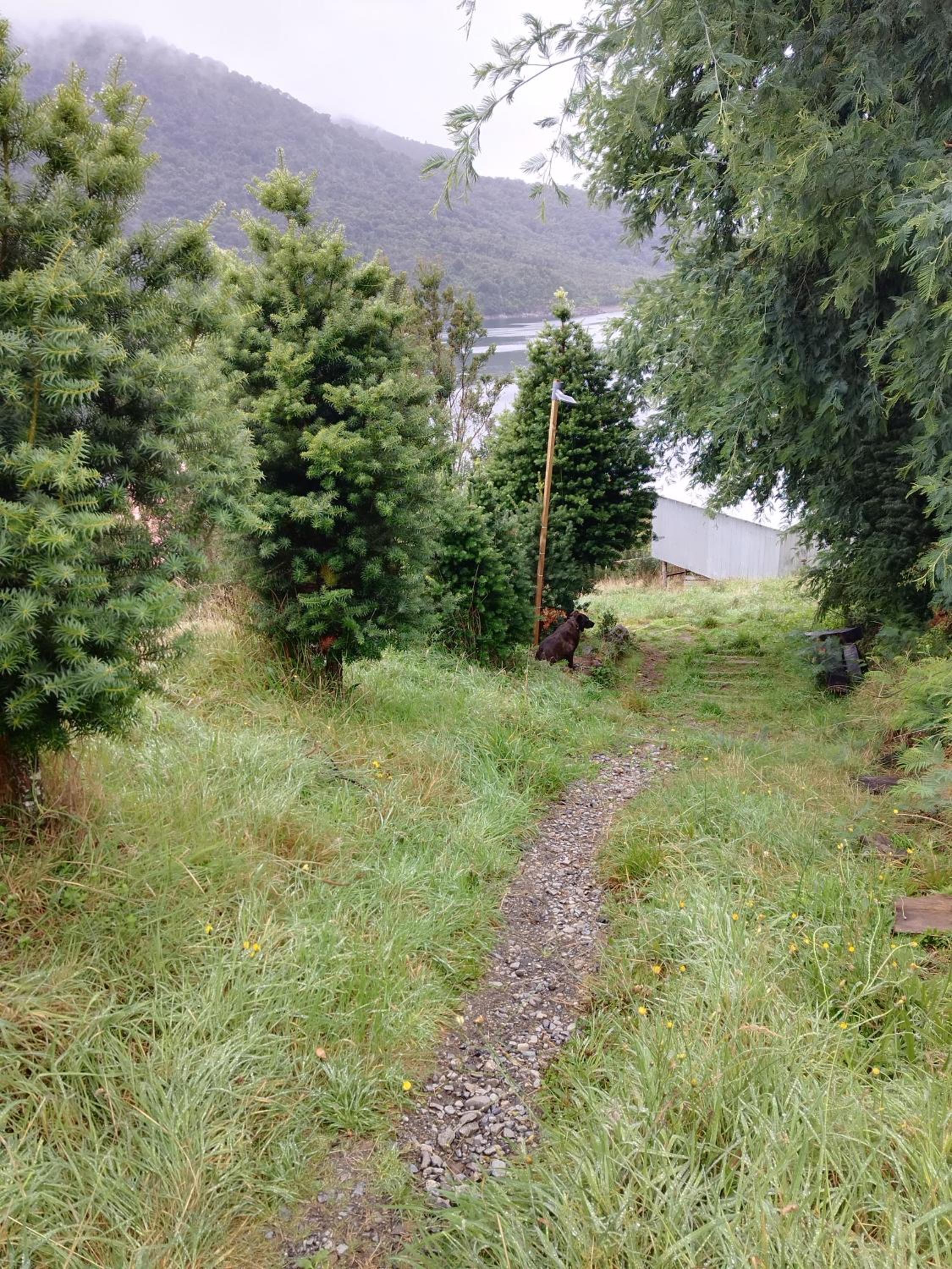 Terrazas de Pichicolo