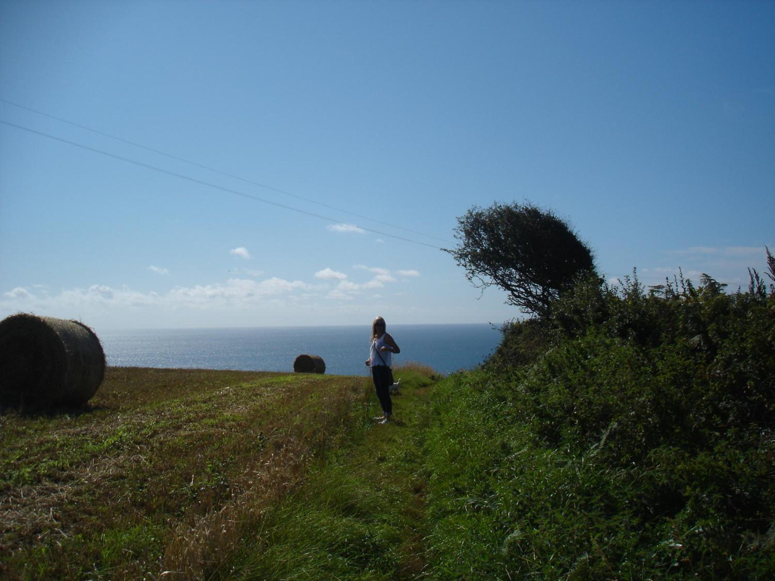 Rame Barton Guest House and Pottery