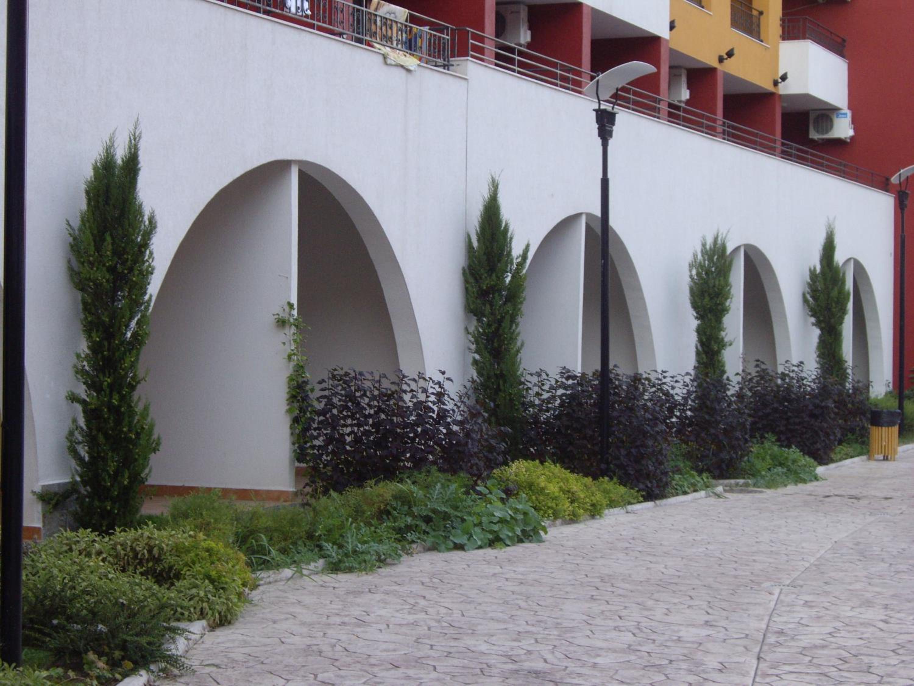 Photo 40