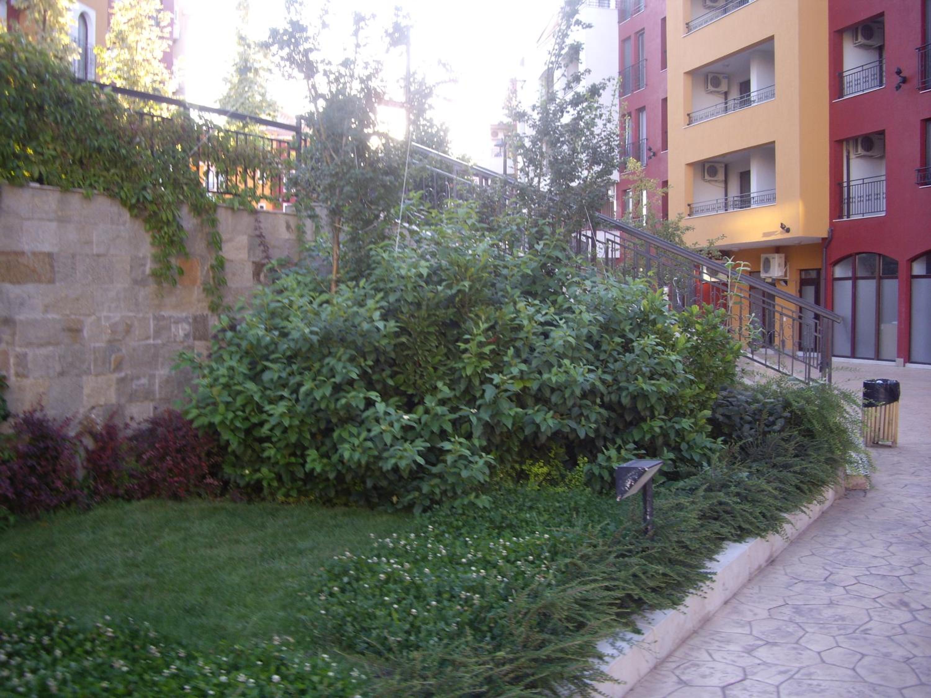 Photo 43