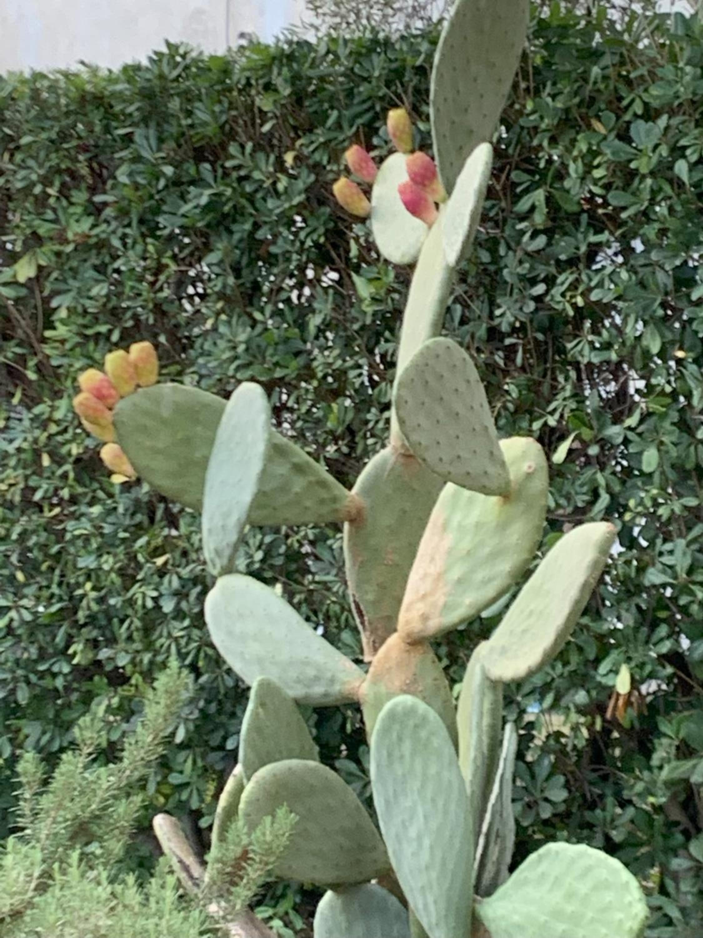 Photo 32