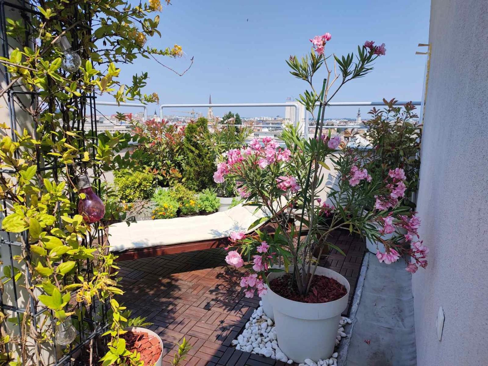 Penthouse apartment view 5