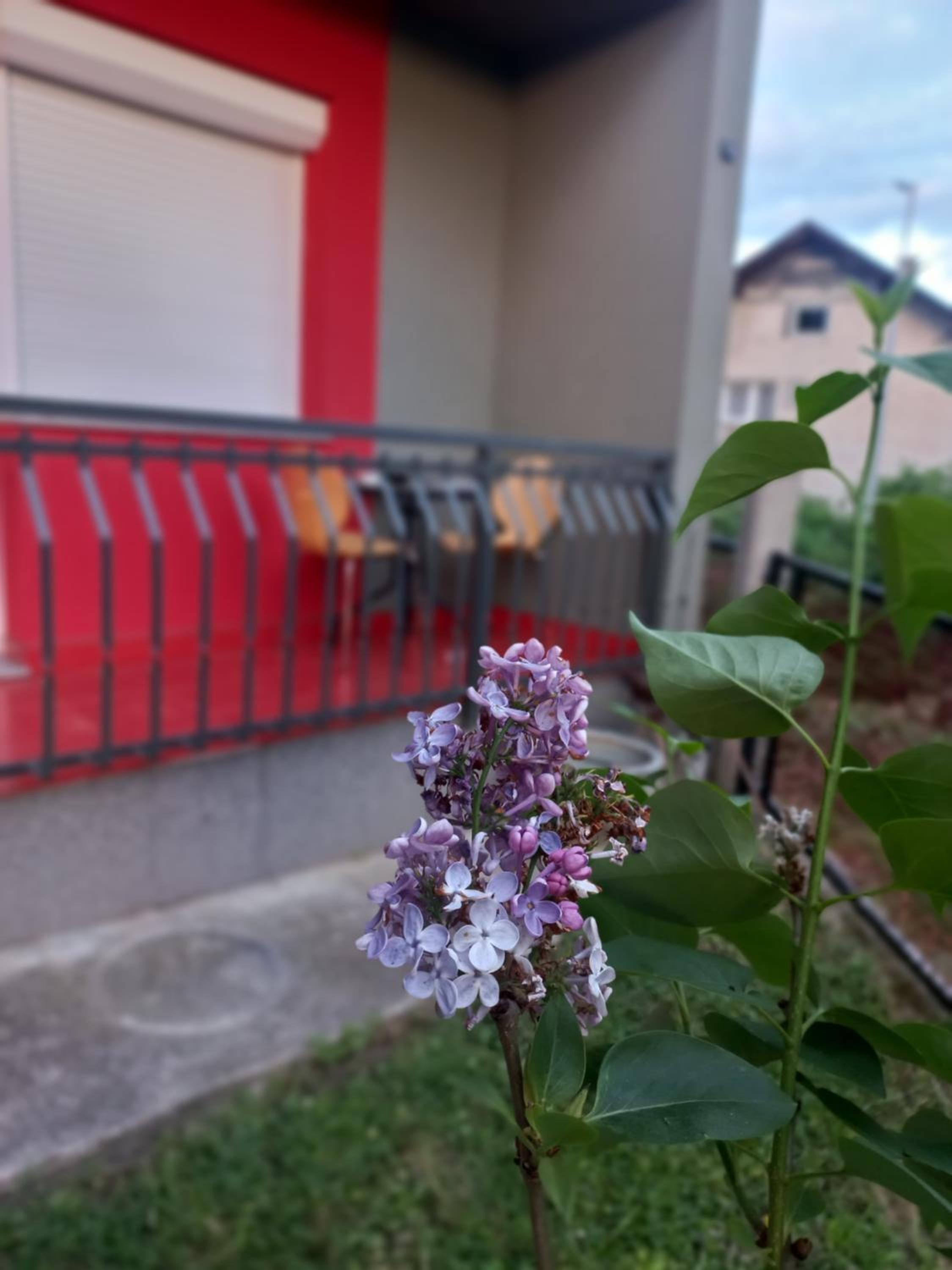 Apartman Dženeta
