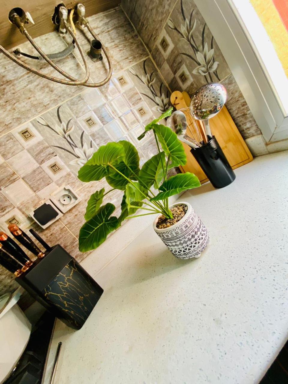 Appartement meublé