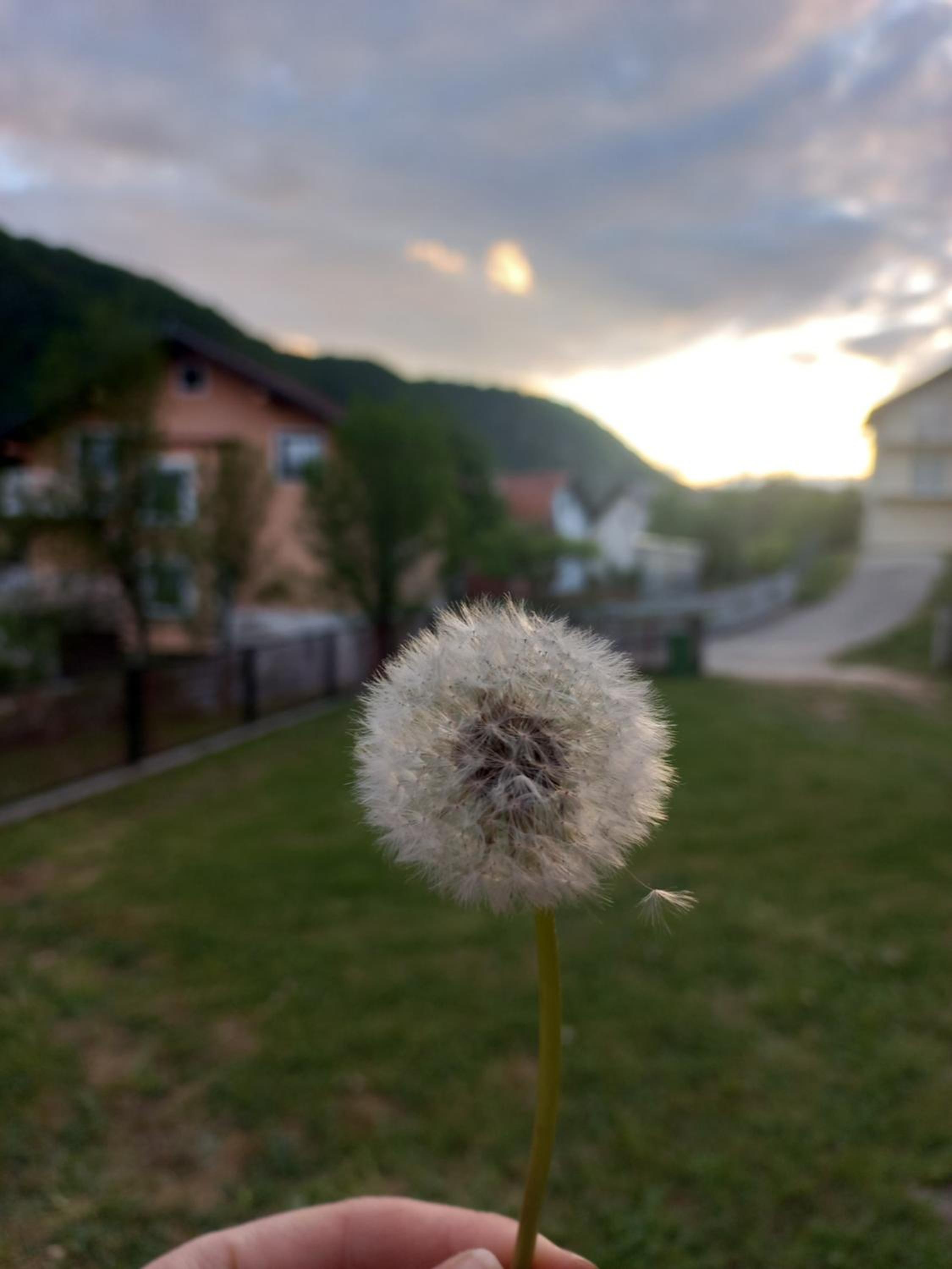 Apartman Dženeta
