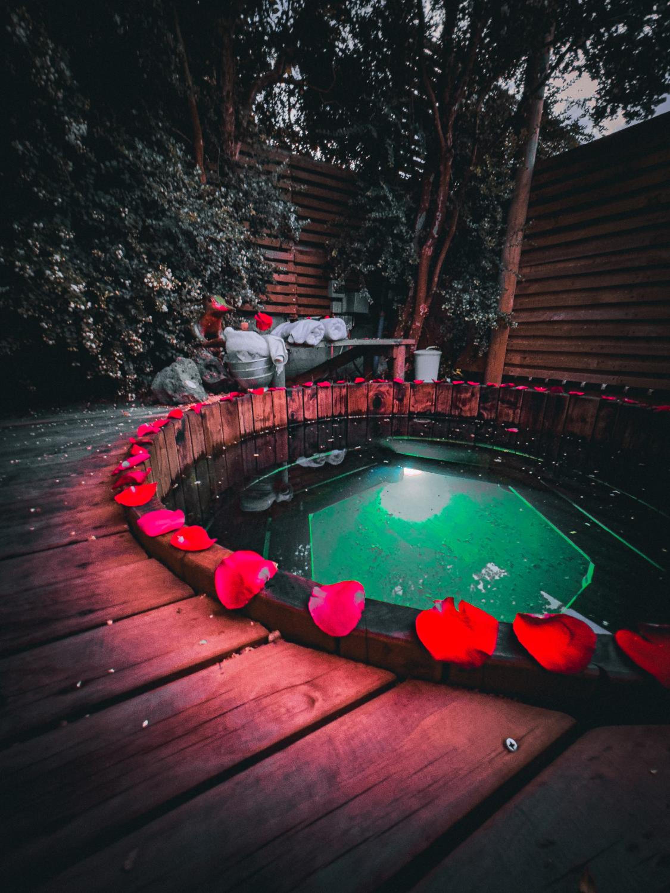 Cabañas Pewma Futrono