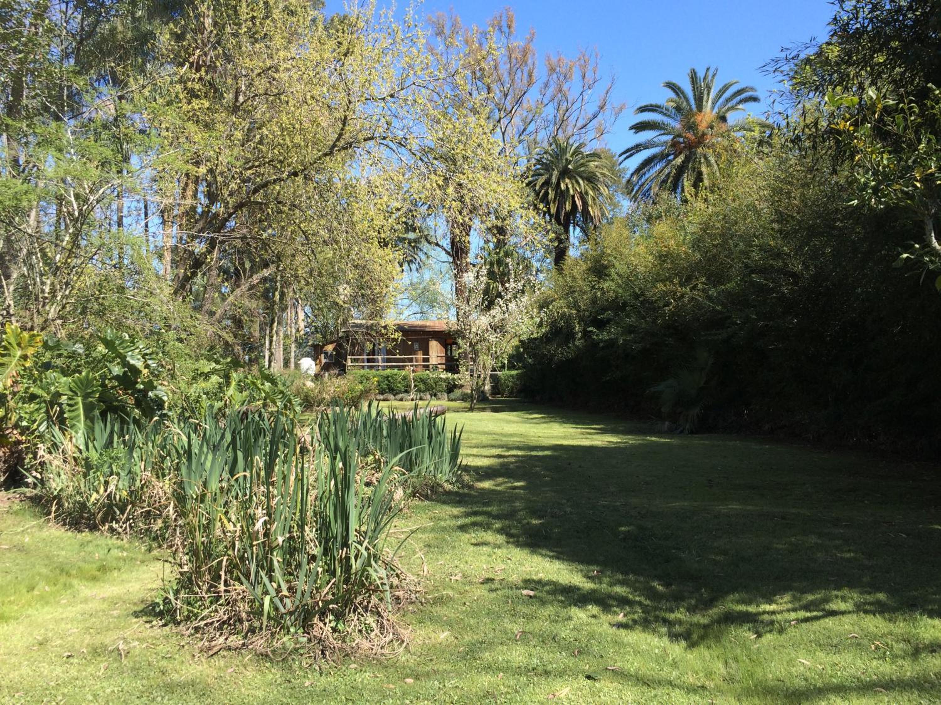 Verde Lujan Delta