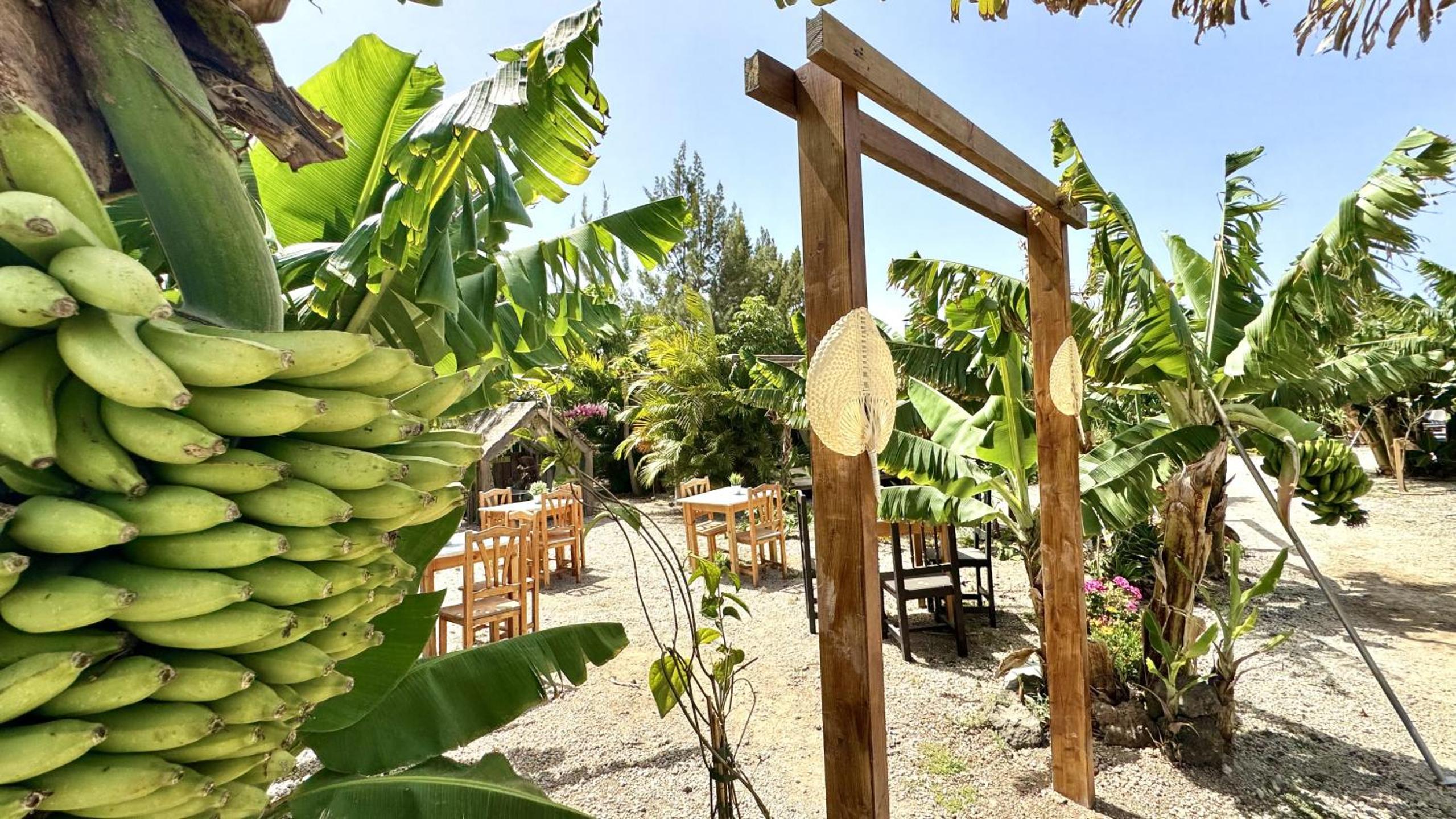 Hotel Privado Serendipia Natural Club Exclusive by Deihu Experiences