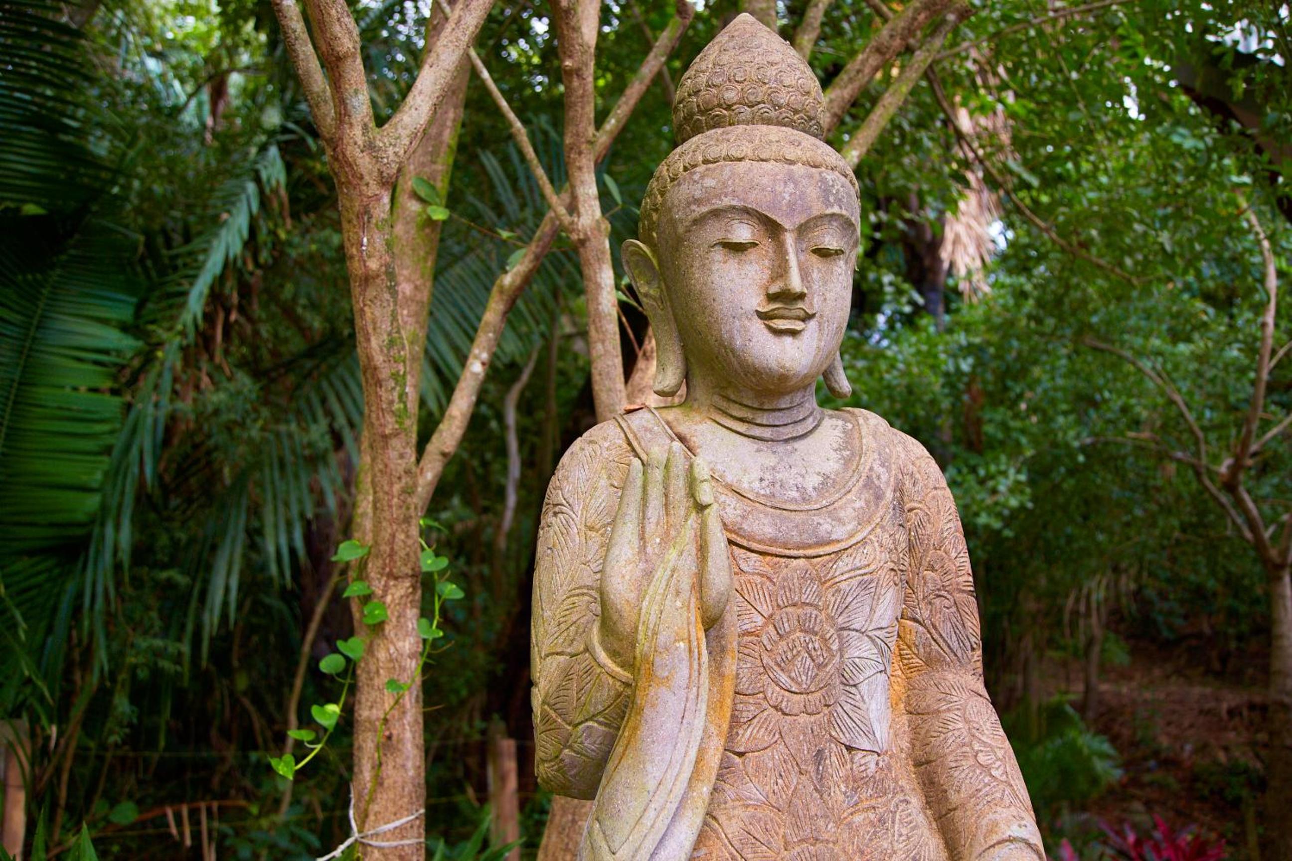 Casa Ananda a Bali Inspired Home