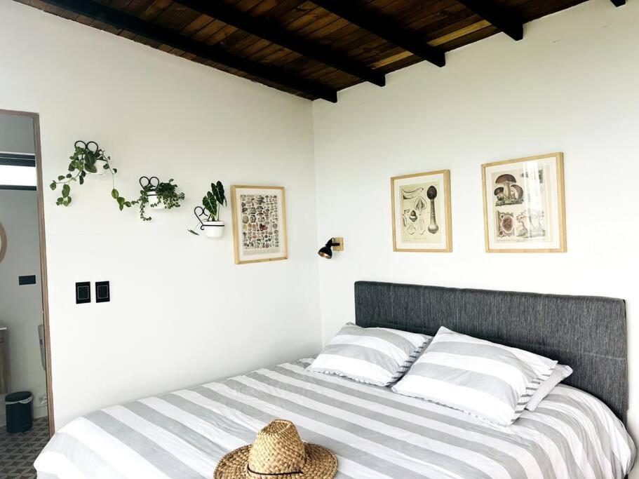 Manoah: cabaña en las montañas 2
