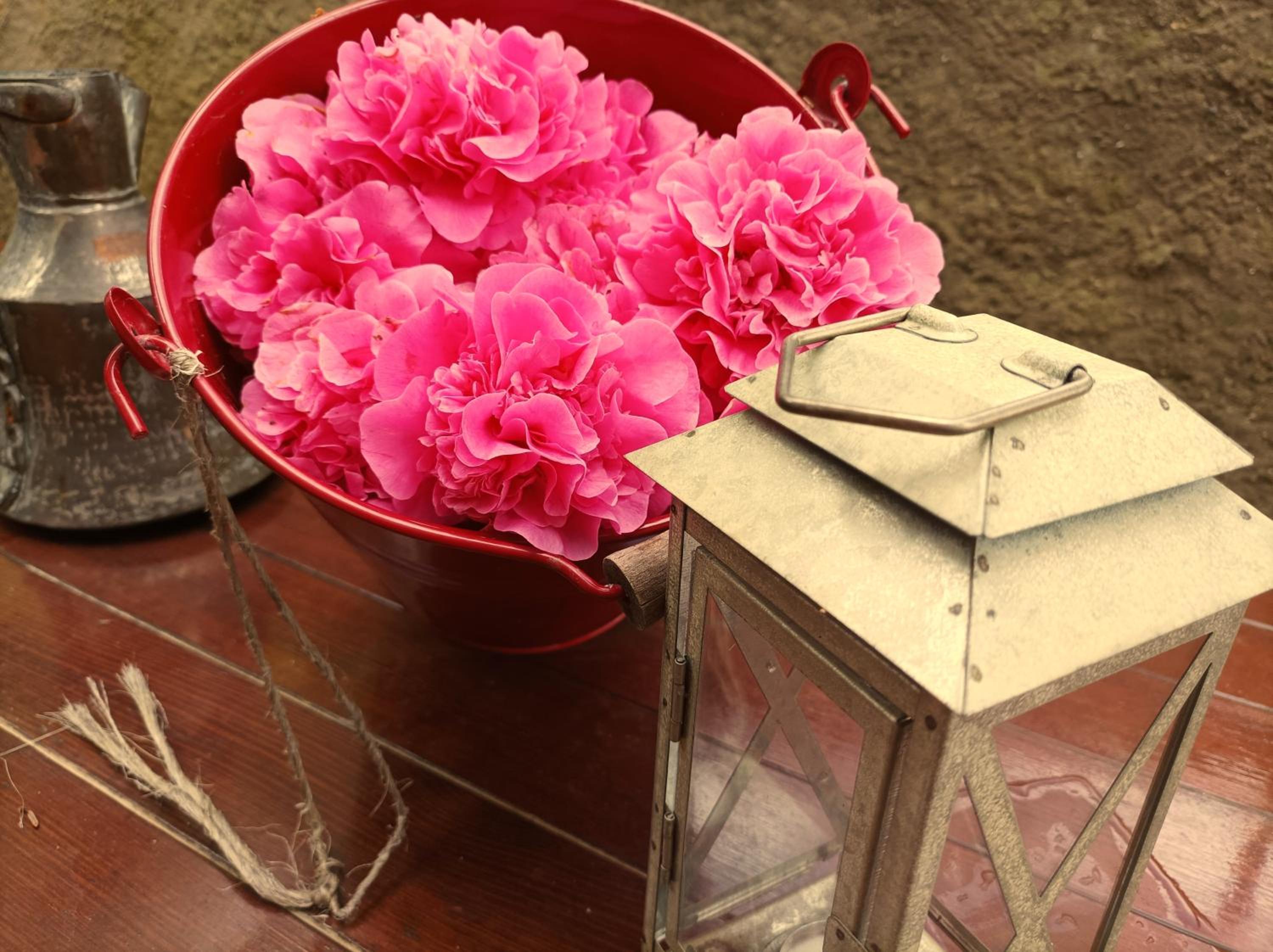 Villa Camelia Tuscany