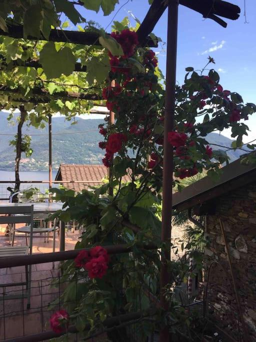 Come Relax and Enjoy the Breathtaking Views