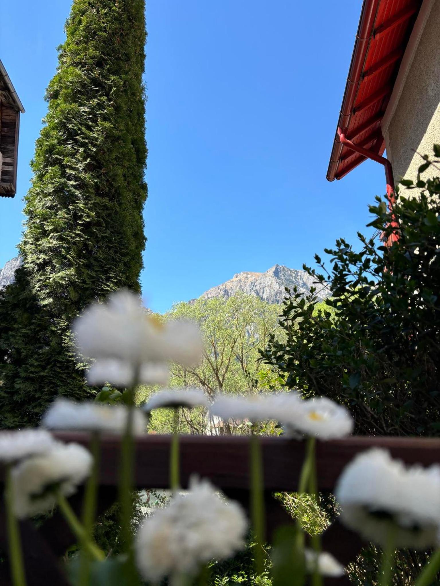 Luna House Busteni view 3
