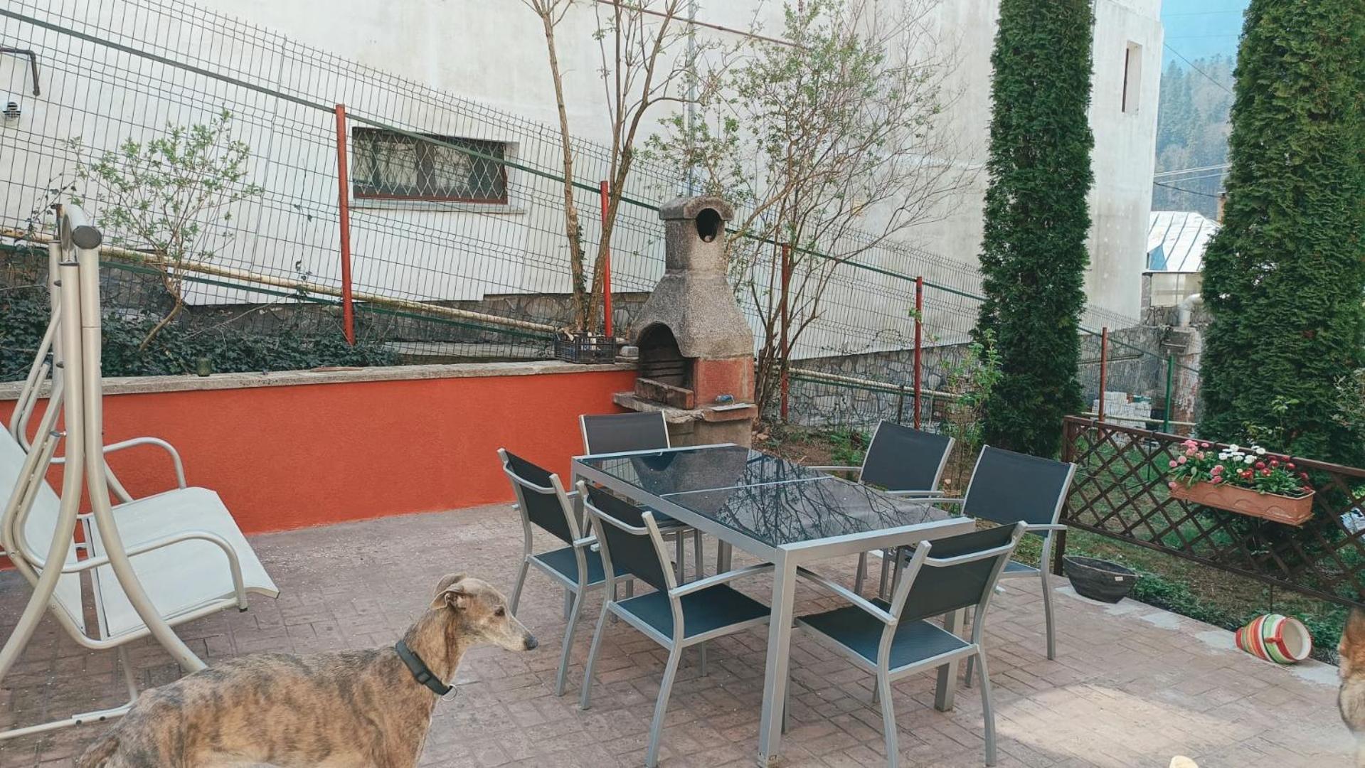 Luna House Busteni view 4