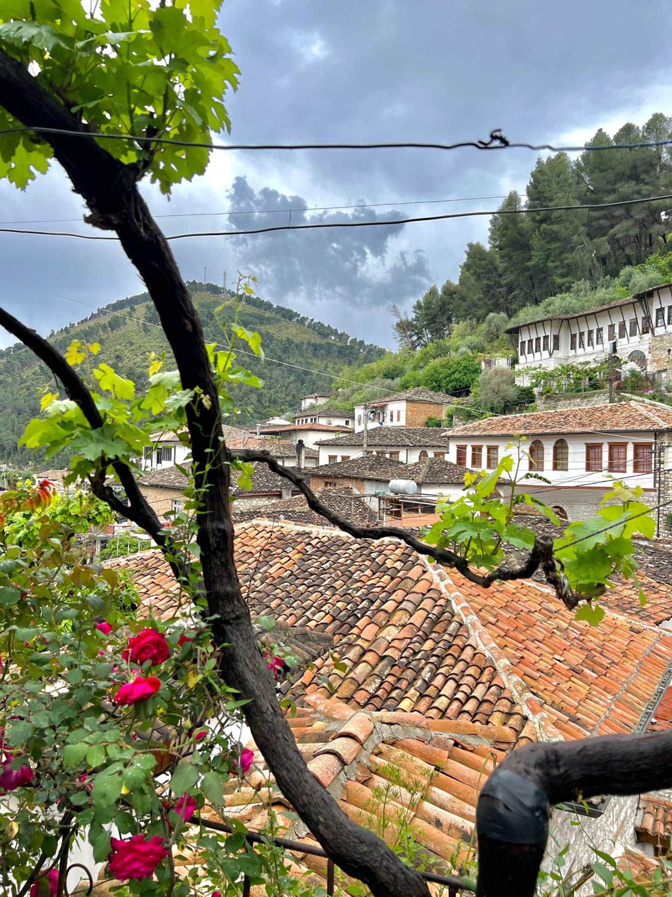 Nika's Guest House