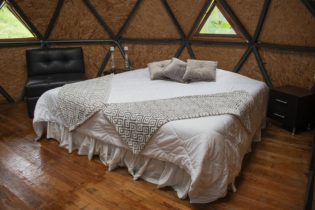 ALMA ECO DOMO