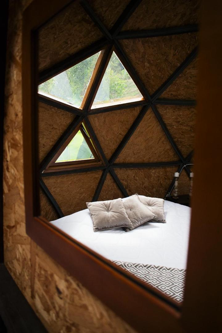 ALMA ECO DOMO