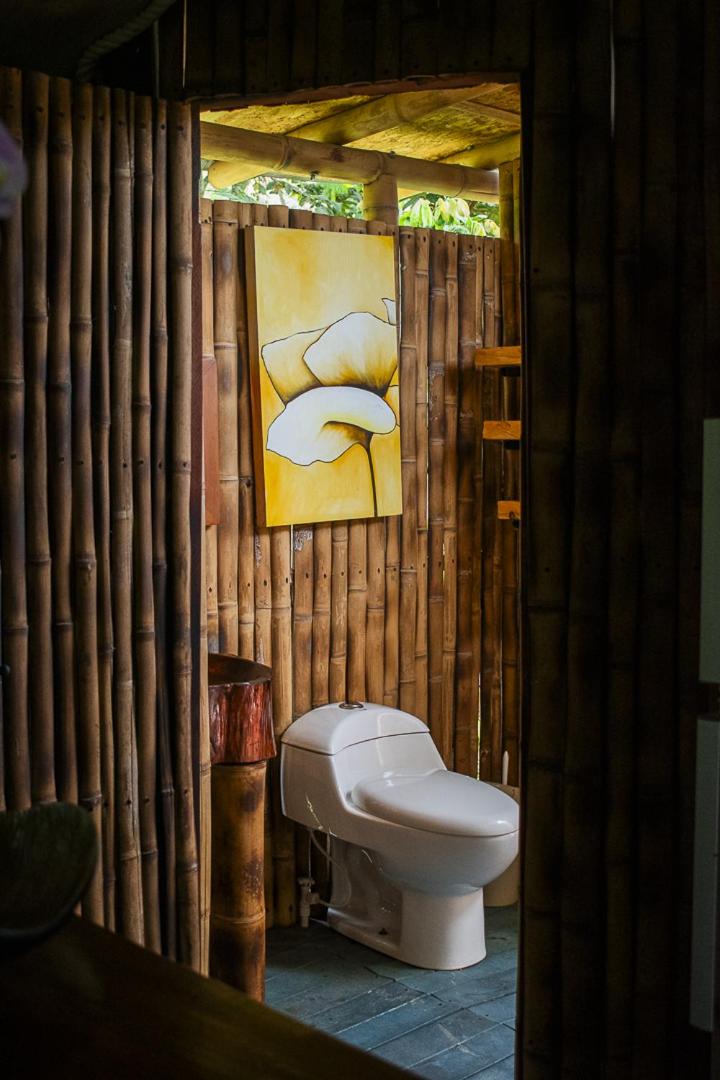 ALMA ECO DOMO