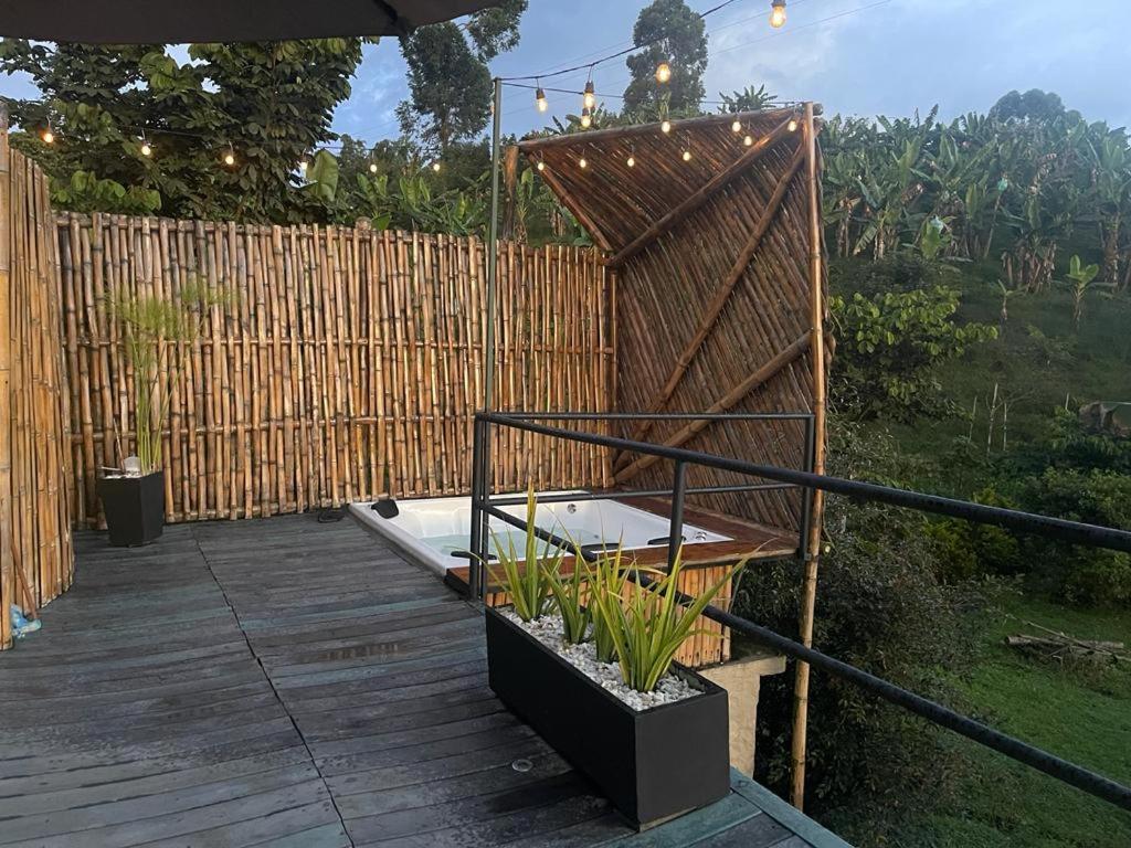 ALMA ECO DOMO
