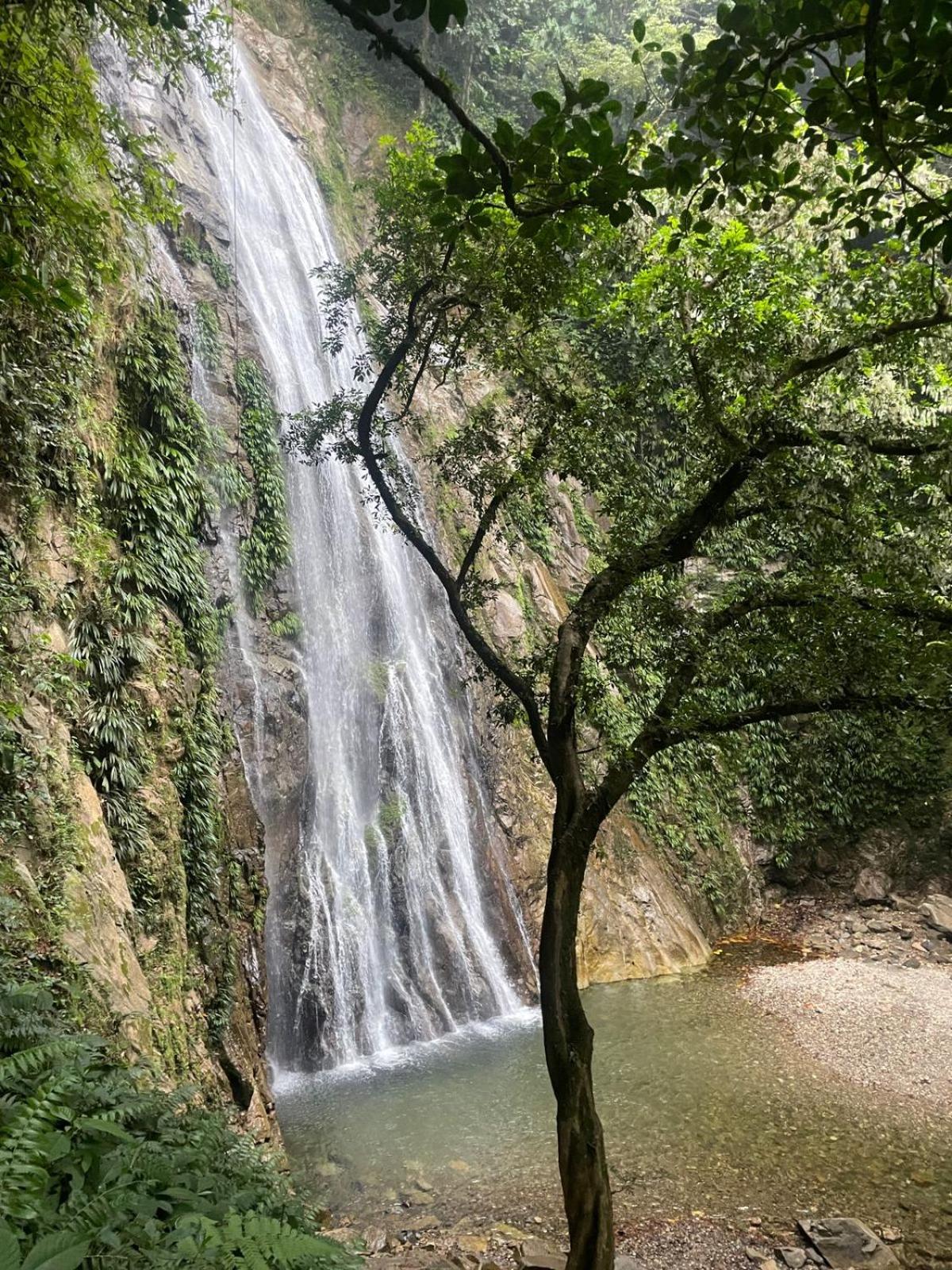 Casa finca El tagual