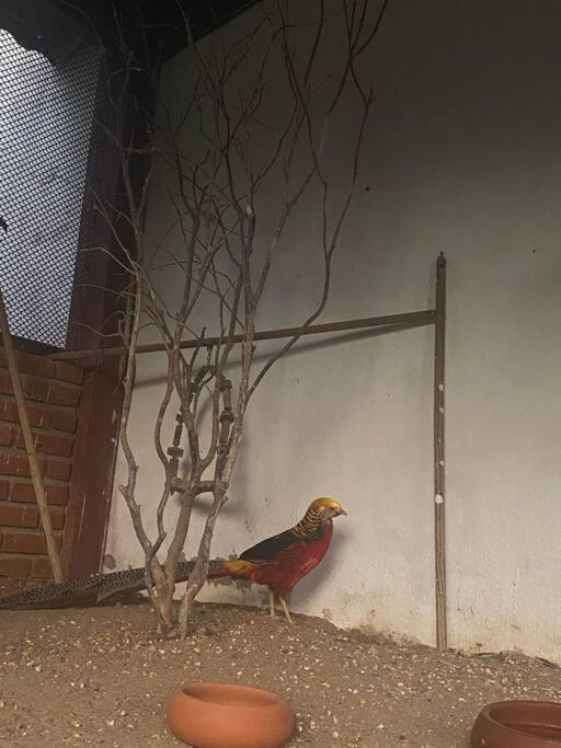Chácara Fortaleza refúgio ao lado de São Paulo!!
