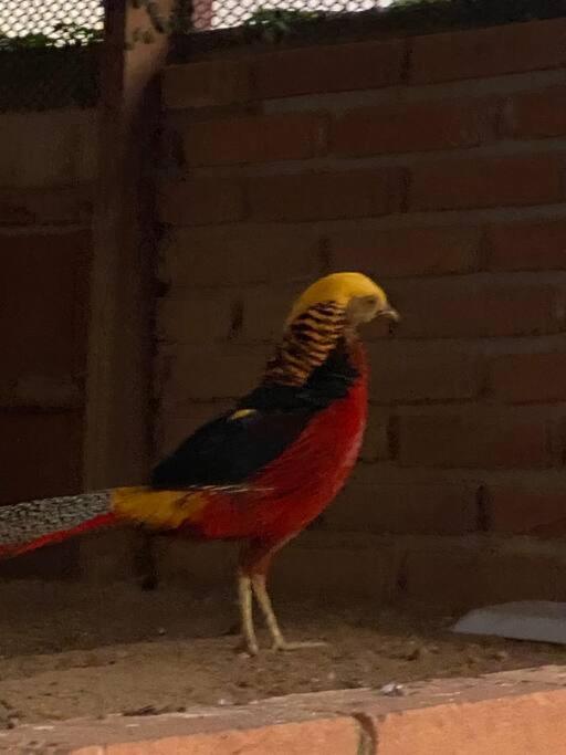 Chácara Fortaleza refúgio ao lado de São Paulo!!
