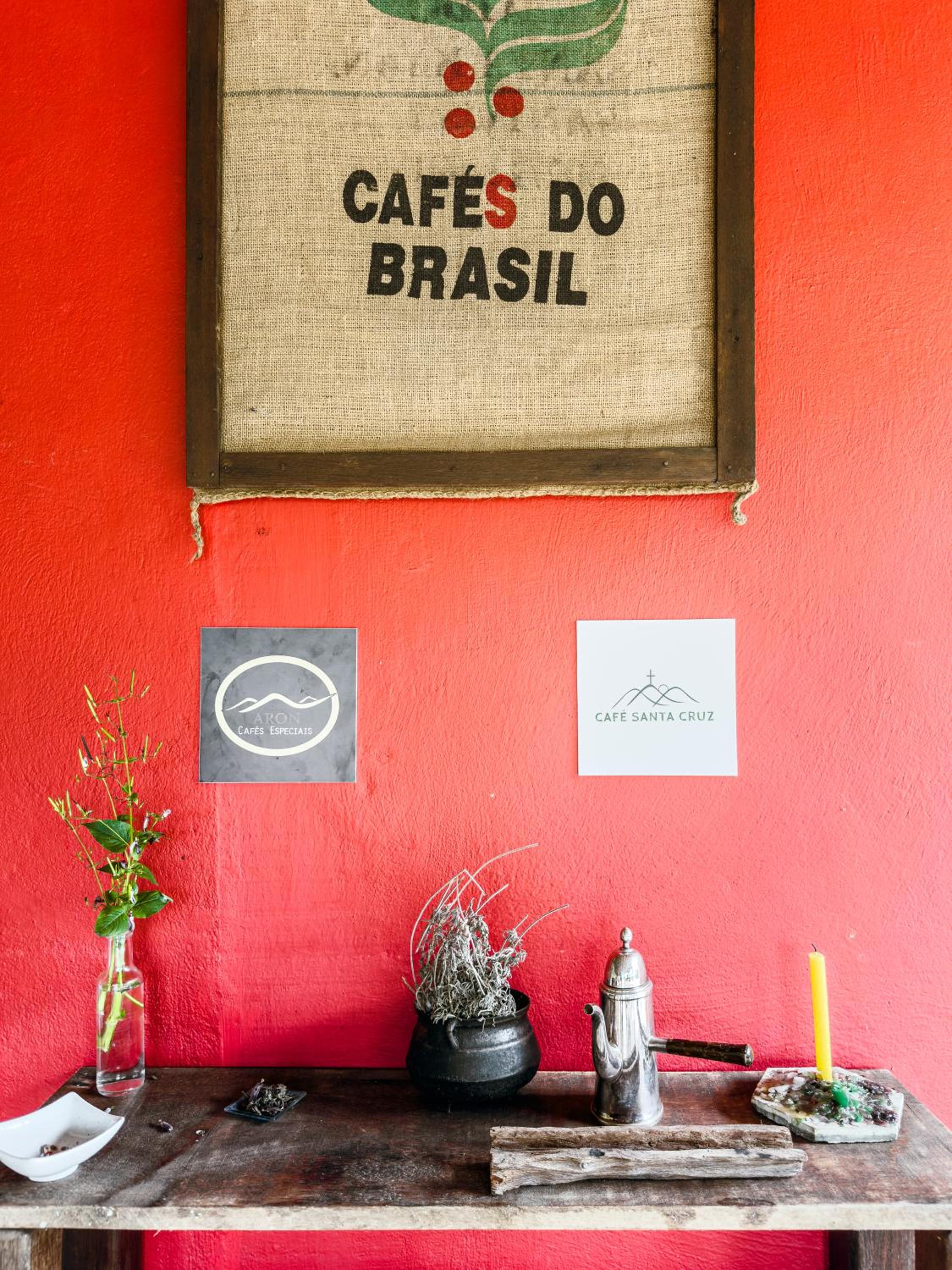 Pé de Café Itamambuca