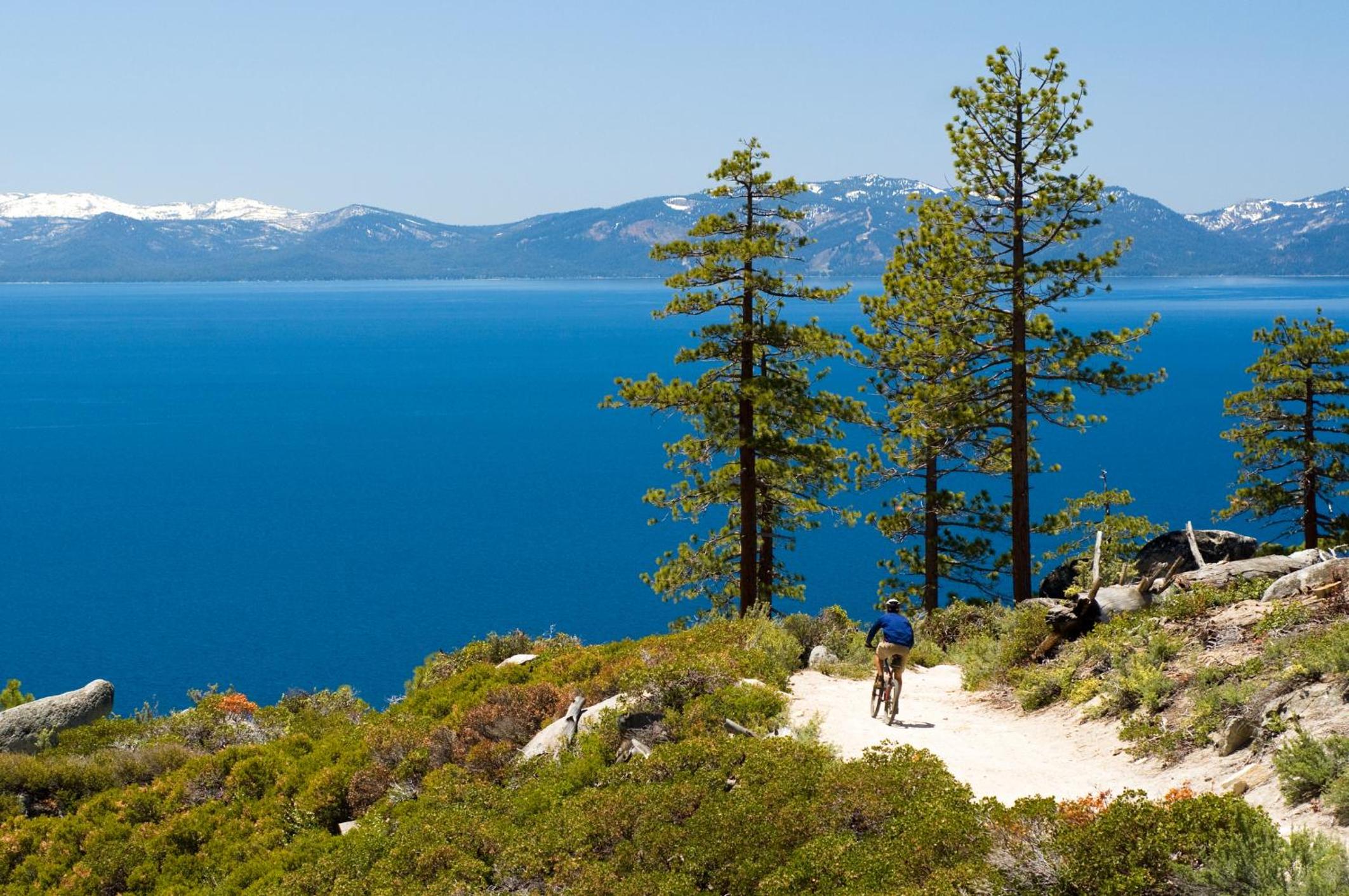 Lake Tahoe Vacations - The PEAK Everest 14 - The Ultimate in Lakefront Luxury - Property Image 20