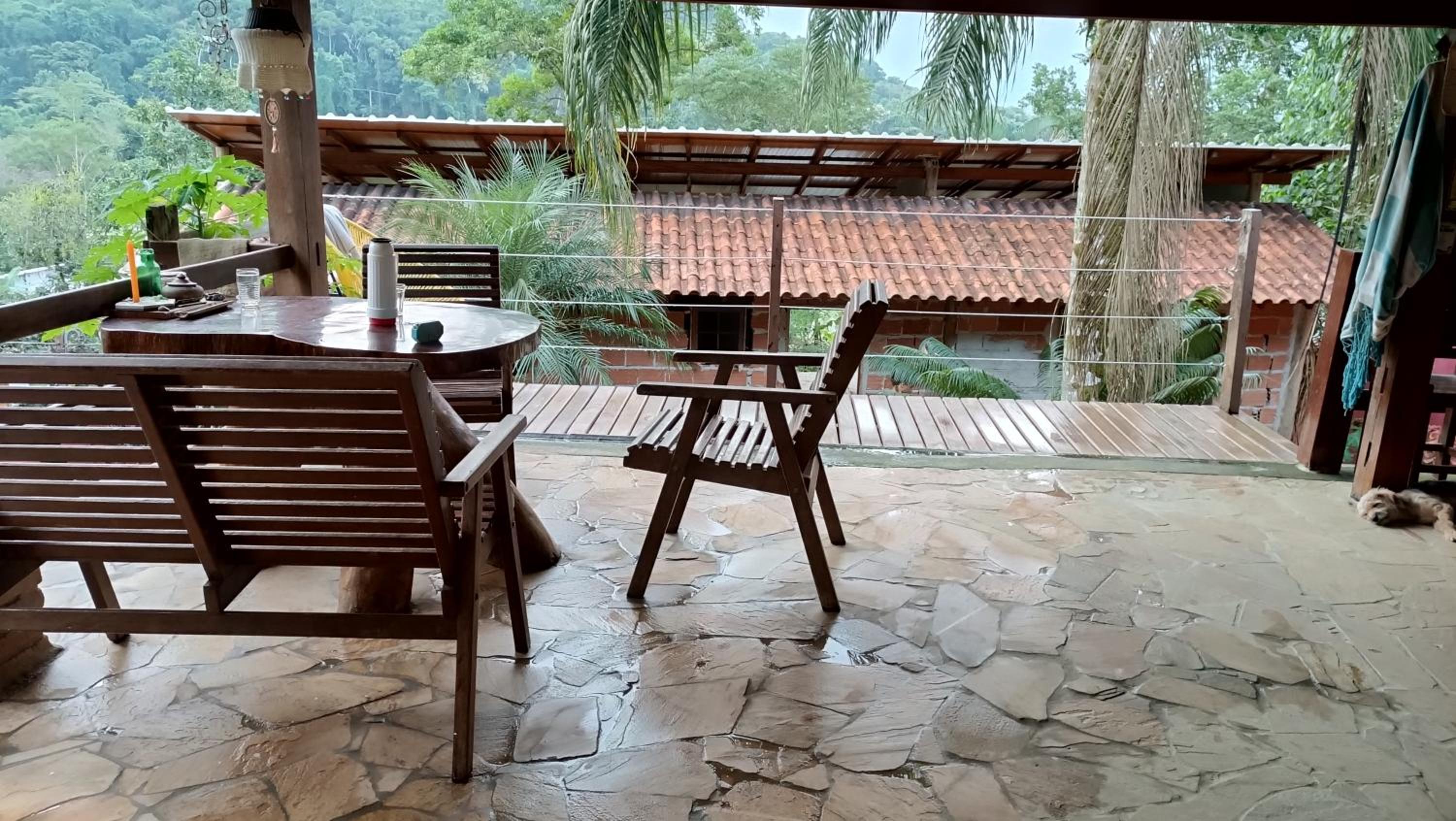 Pé de Café Itamambuca