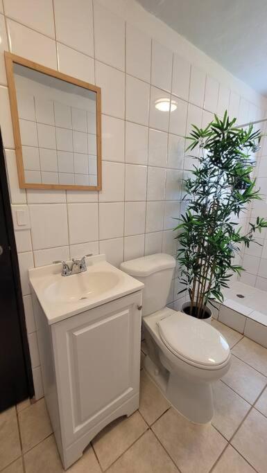 Naguabo Renovated Property - Cozy Apartment view 2