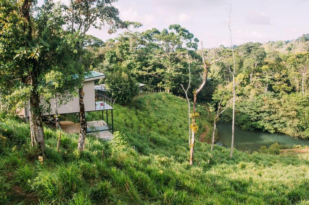 Cala-Ranch Suites - Dream