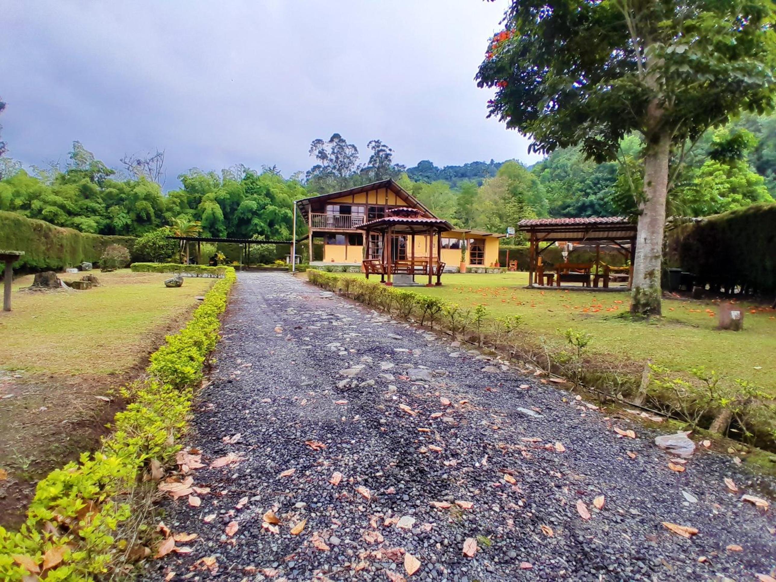 Casa Campo Valle De Cocora