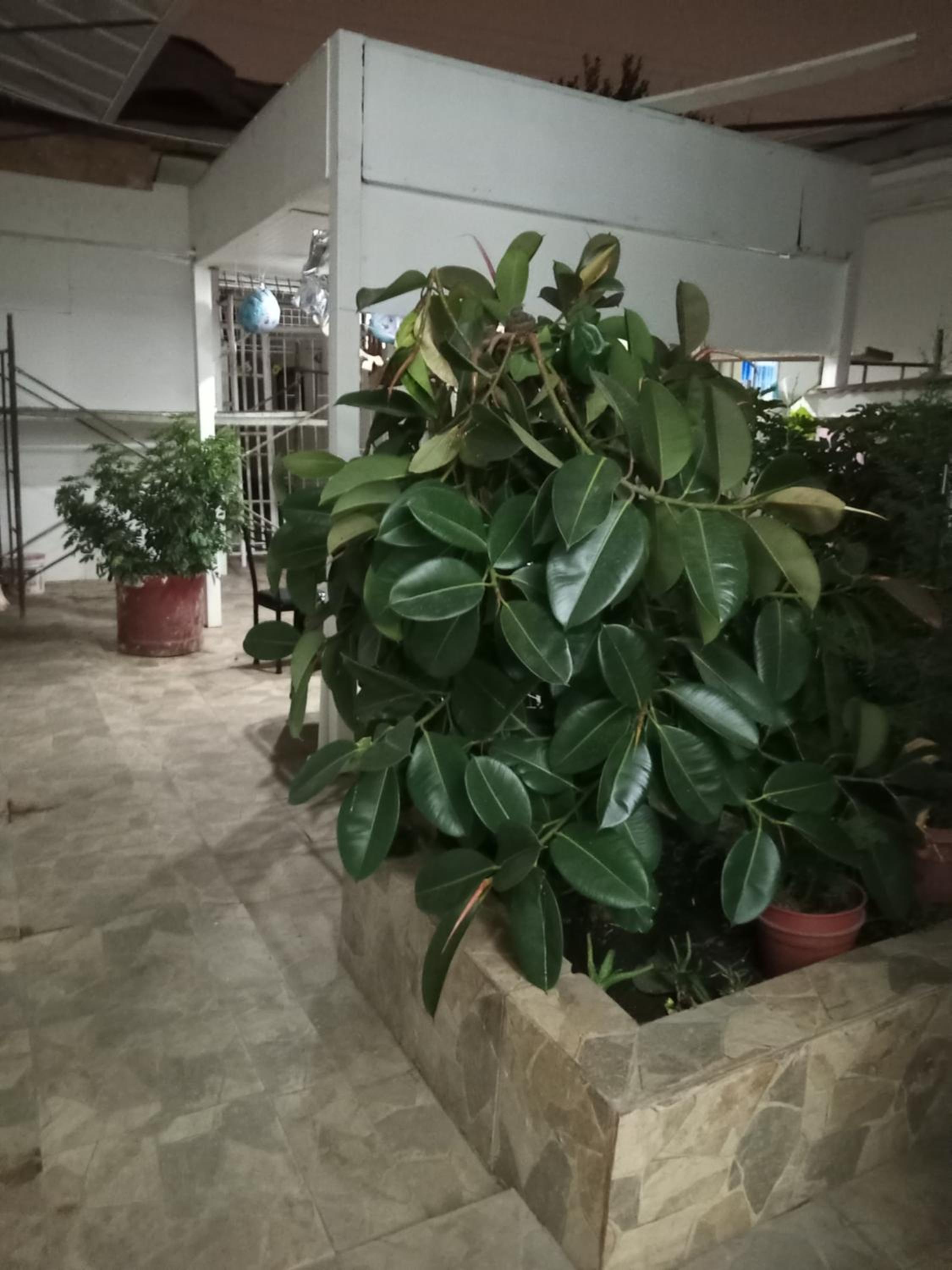 Karin cuadra
