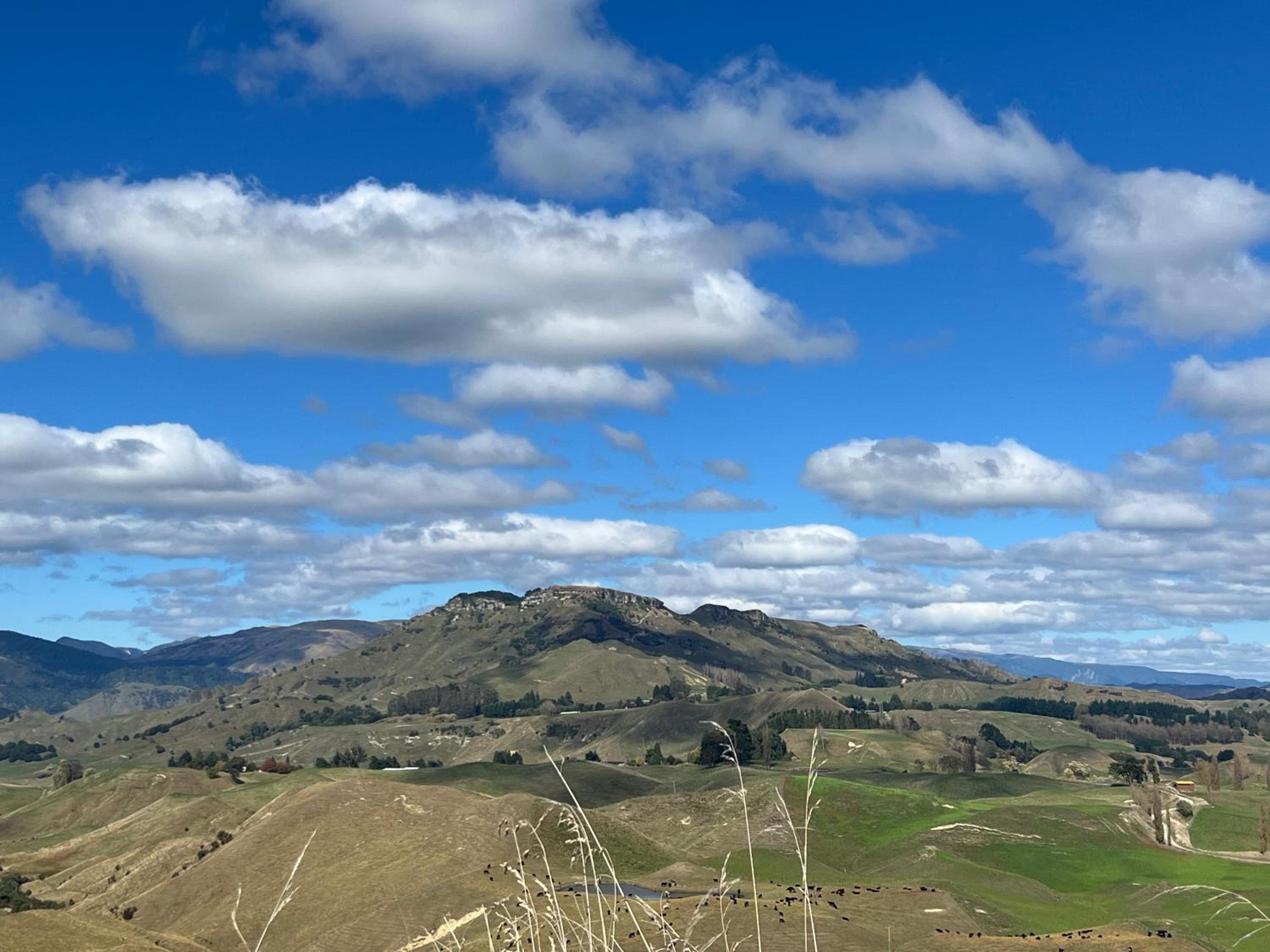 Pohokura Farmstay
