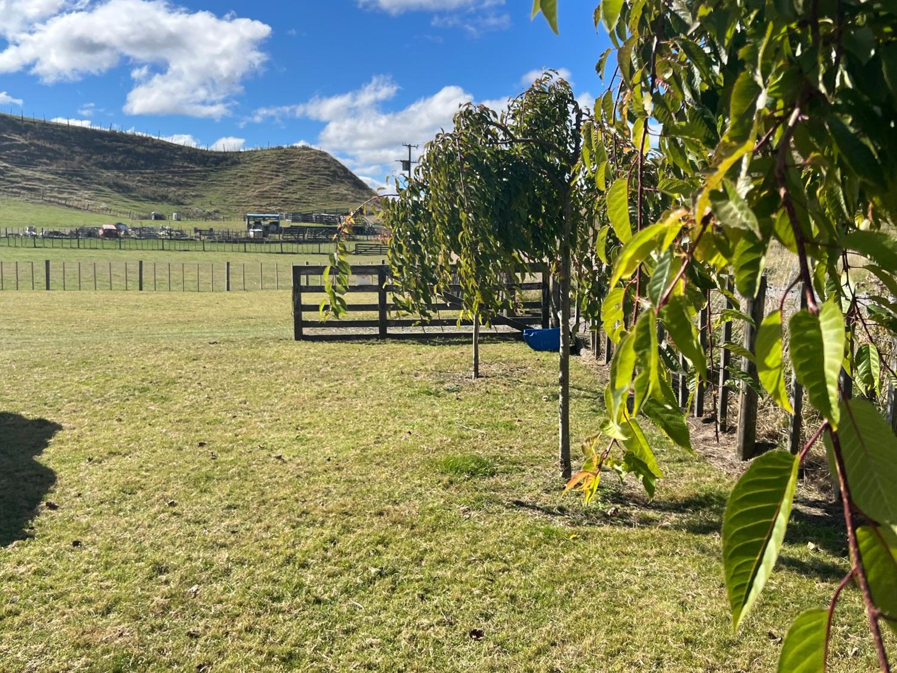 Pohokura Farmstay