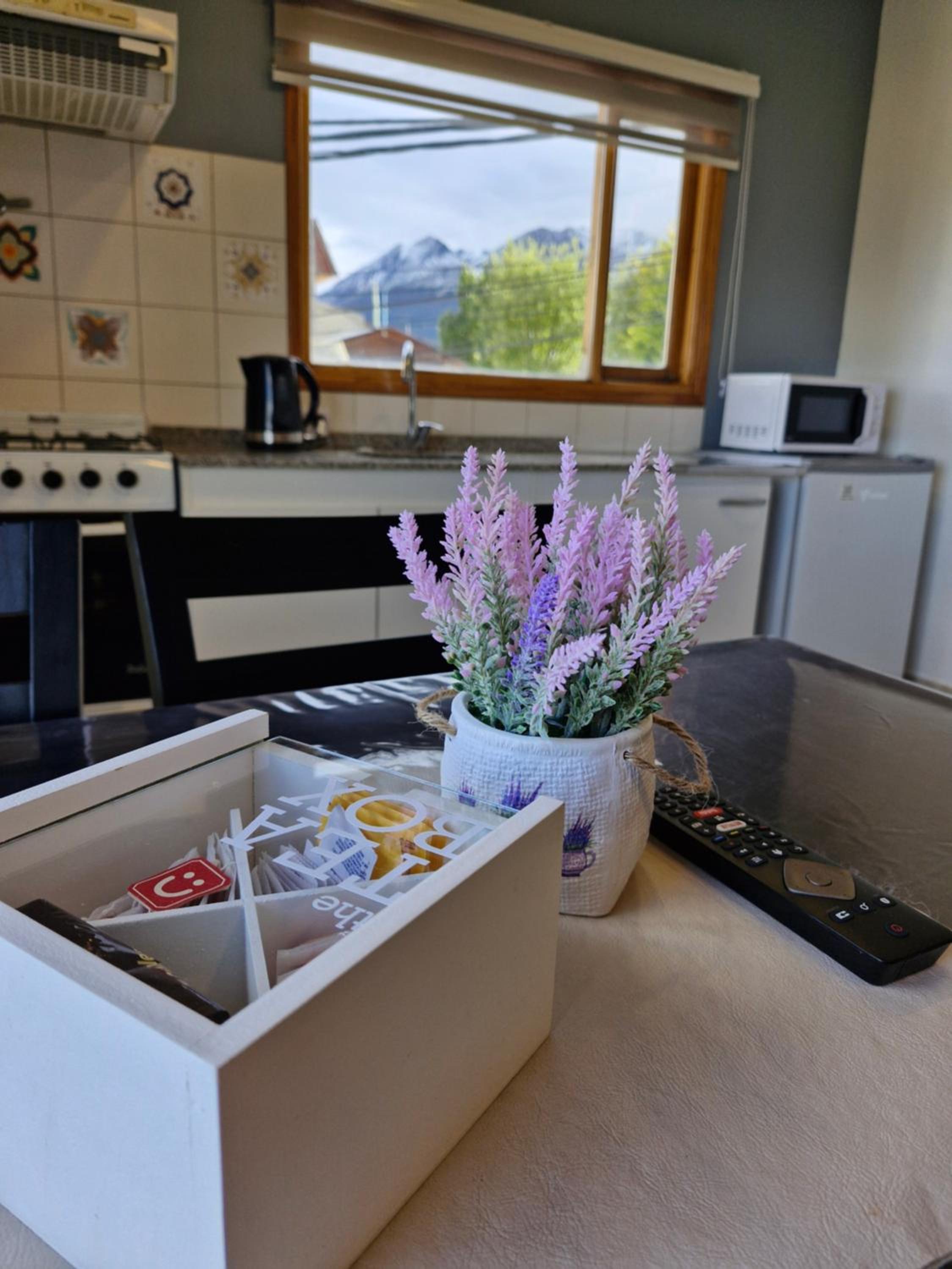 Les Eclaireurs Room